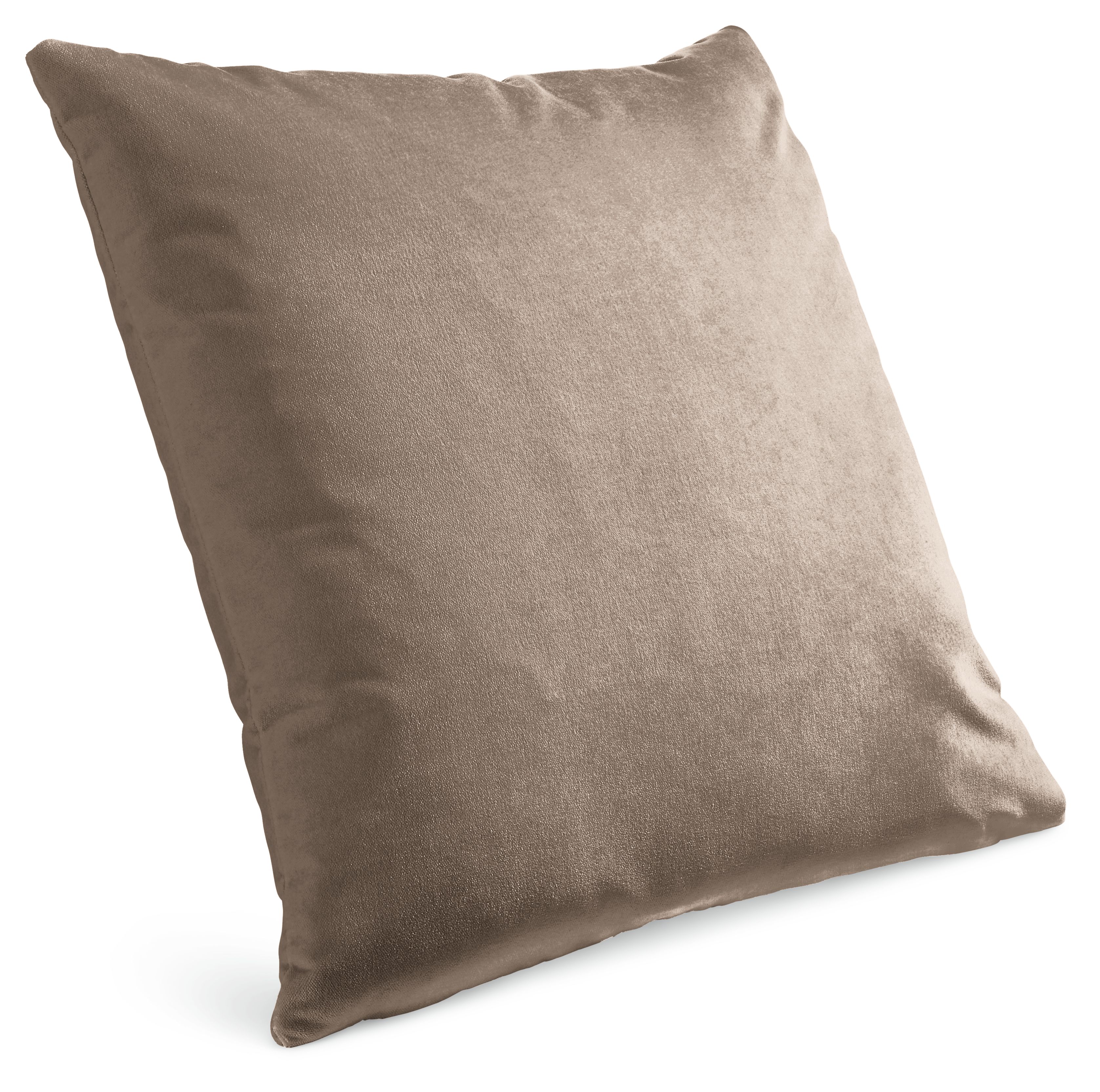 Velvet 24w 24h Throw Pillow Cover
