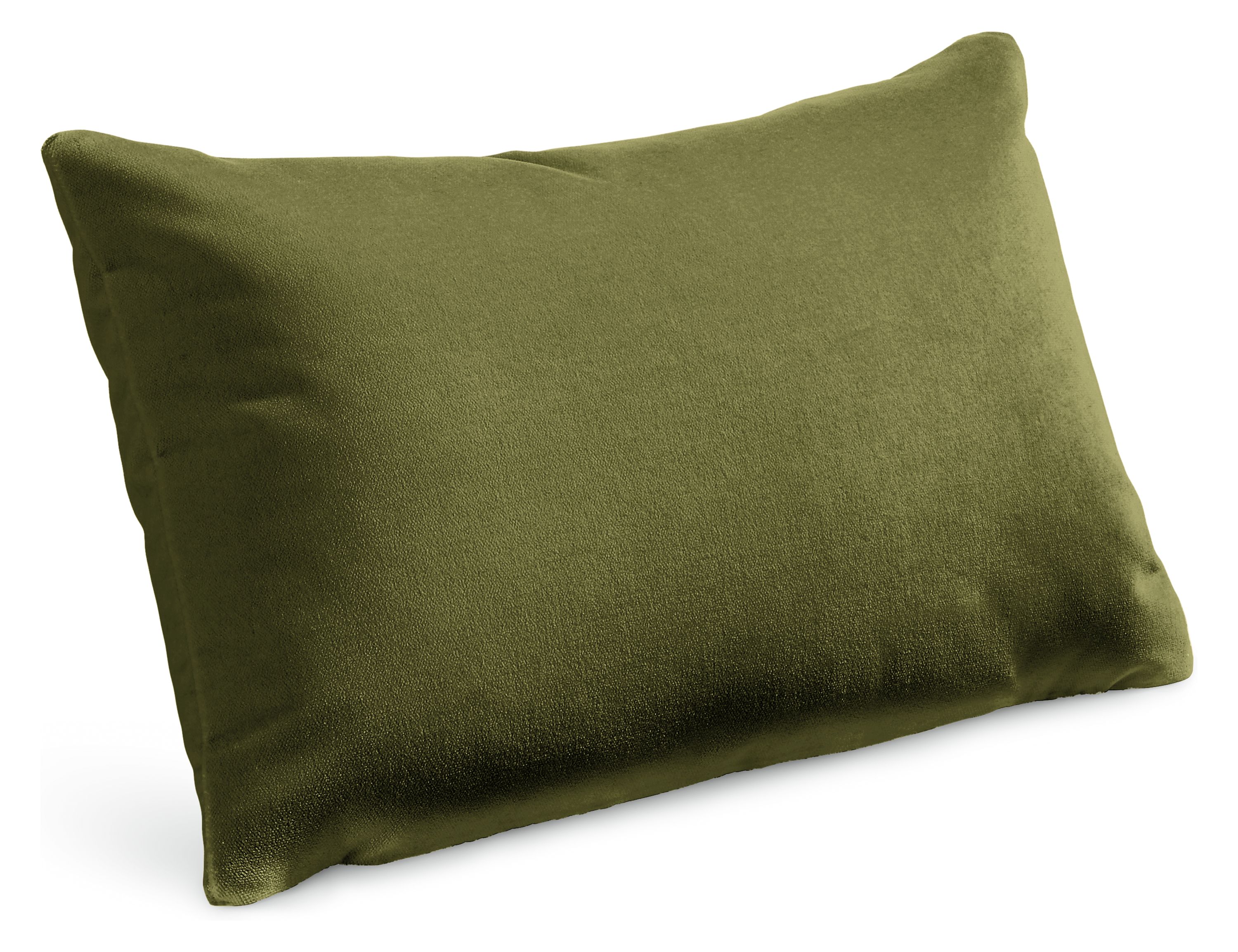 Velvet 20w 13h Throw Pillow Cover