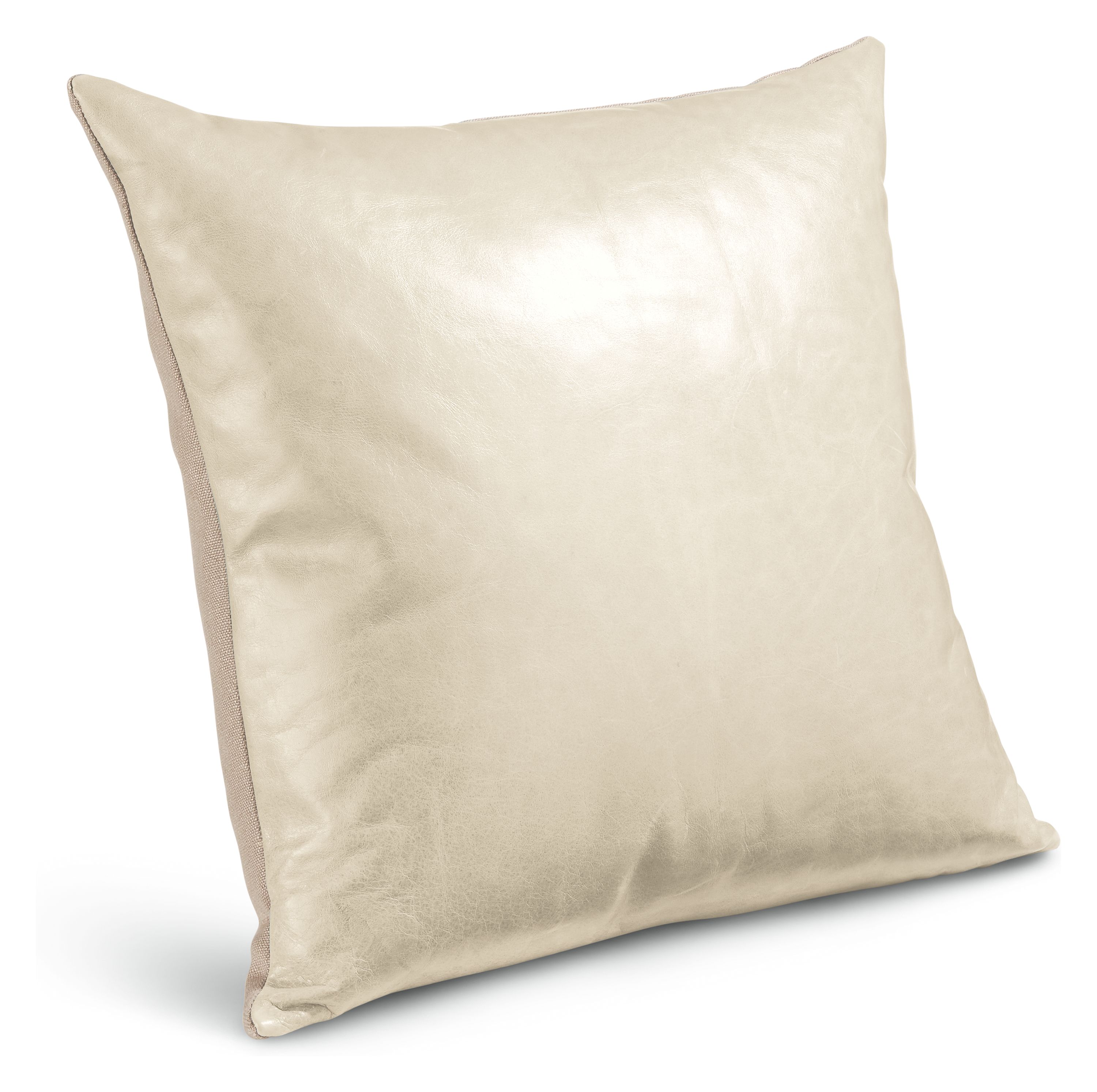 Ewan 20w 20h Throw Pillow in Ivory