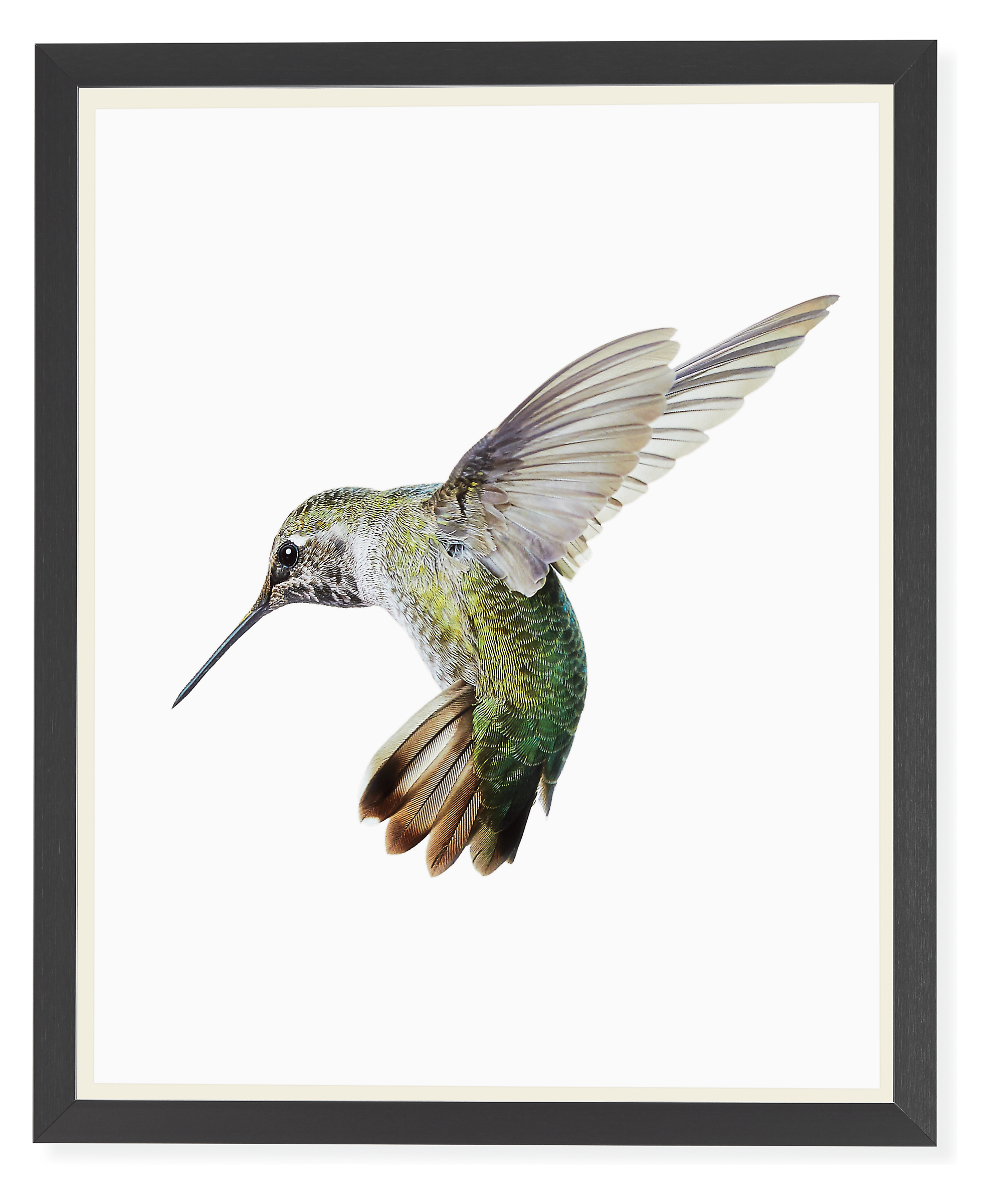 Paul Nelson, Anna's Hummingbird I, 2018, Gunmetal