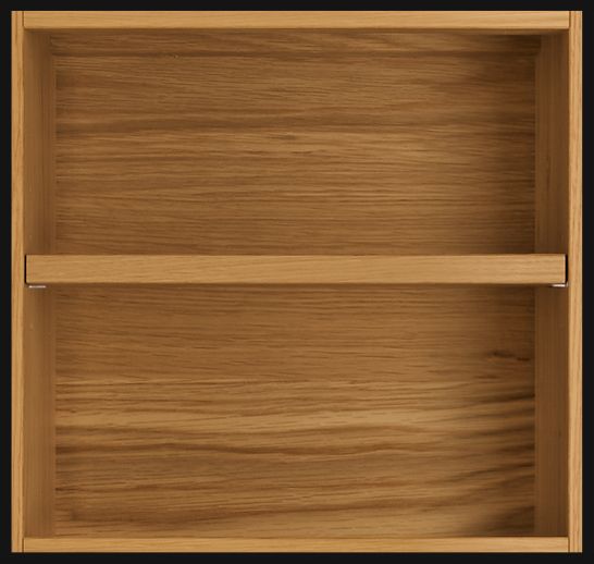 Beam 16w 12d Adjustable Shelf Insert