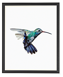 Paul Nelson, Broad-Billed Hummingbird, 2018, Gunmetal