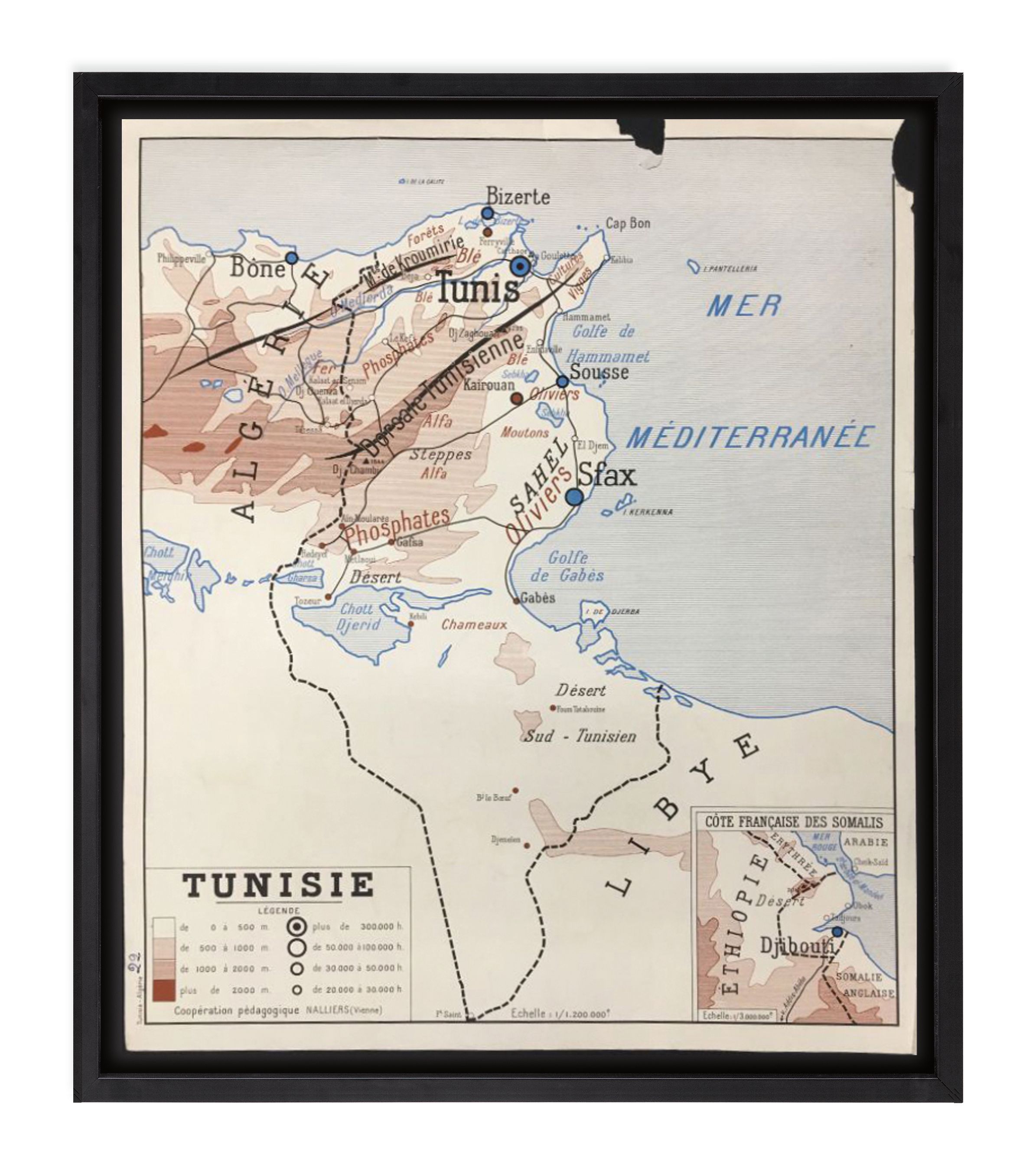Vintage French School Map - Tunisie