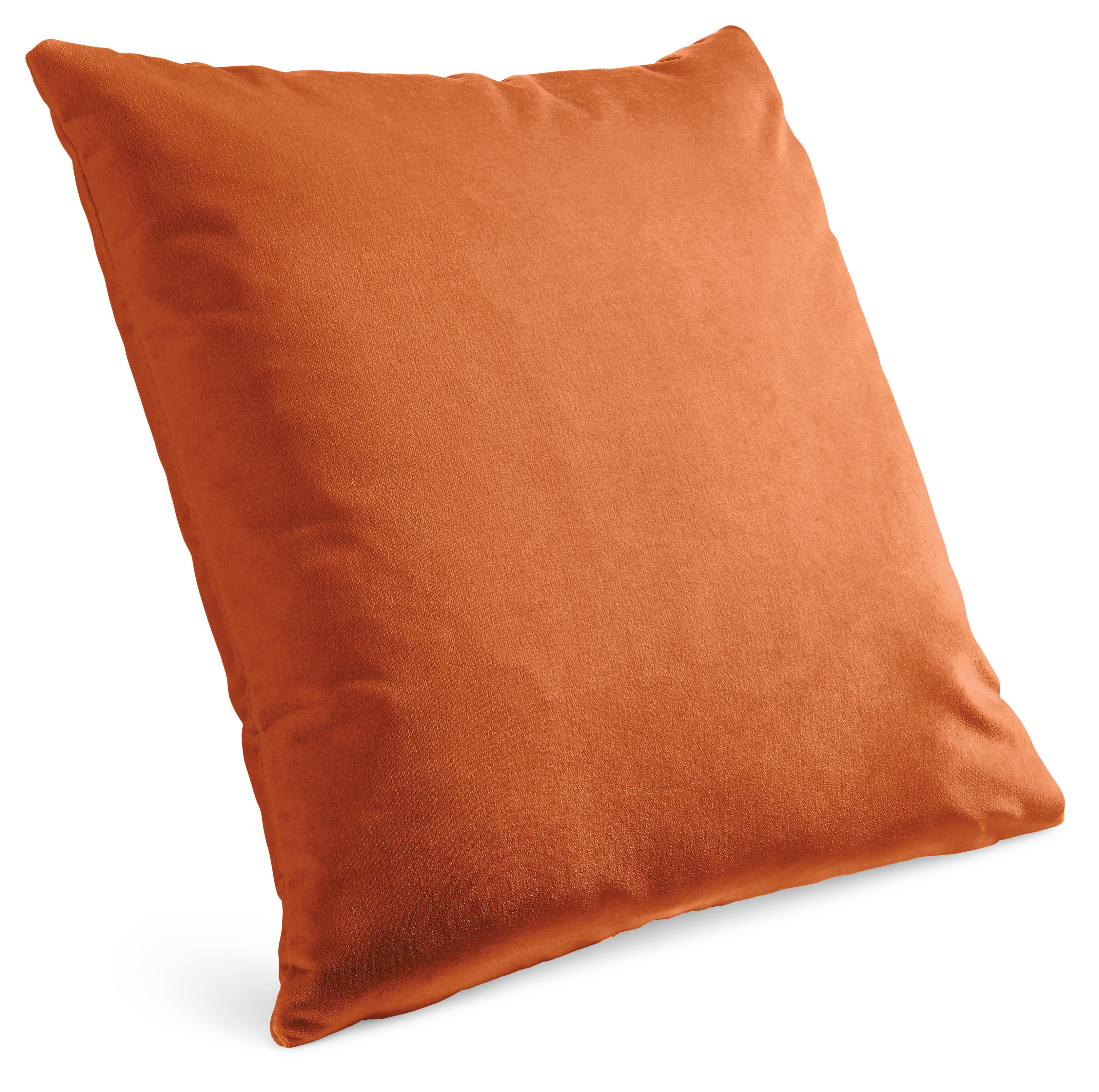 Velvet 24w 24h Throw Pillow Cover