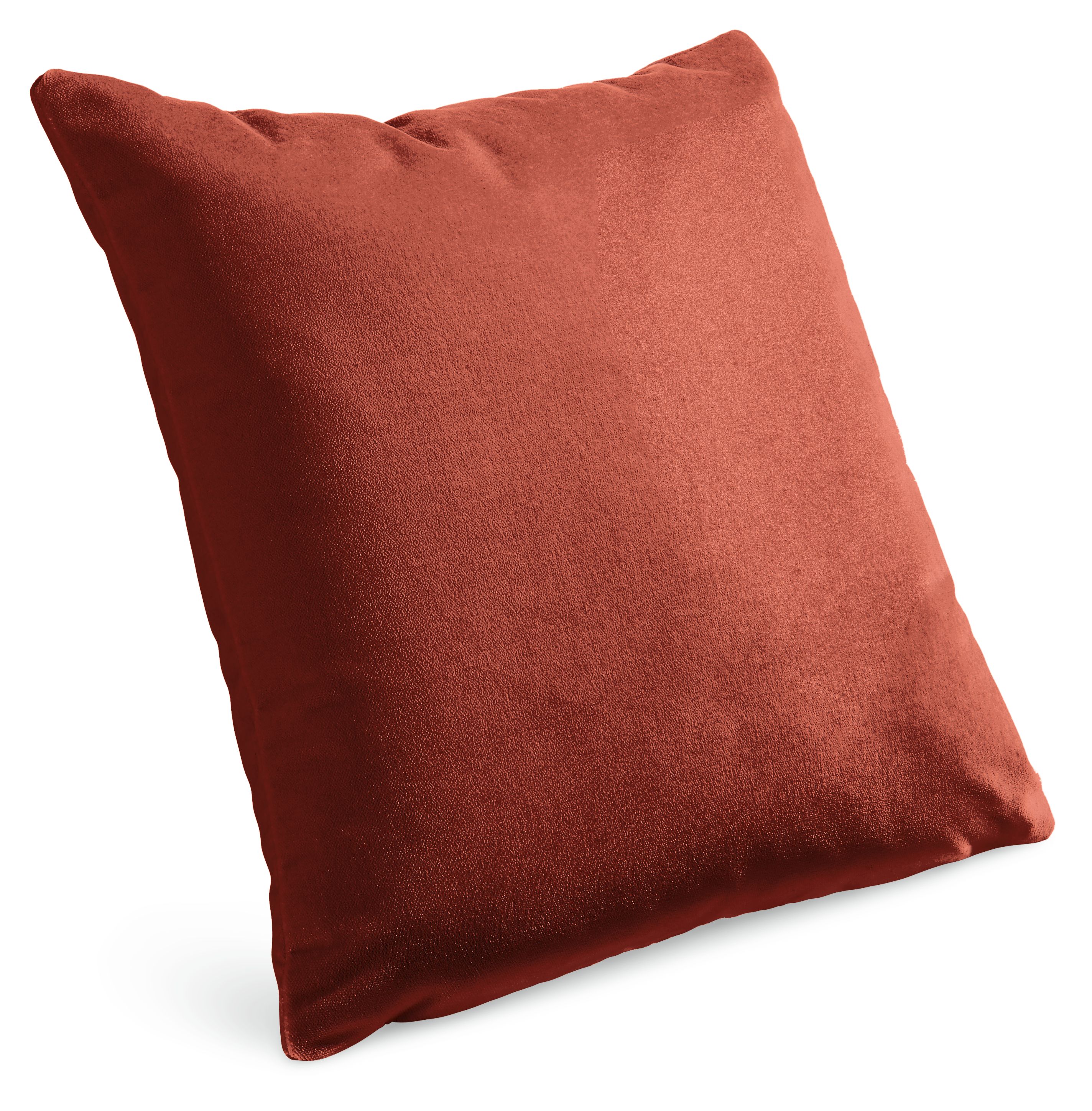 Velvet 20w 20h Throw Pillow Cover
