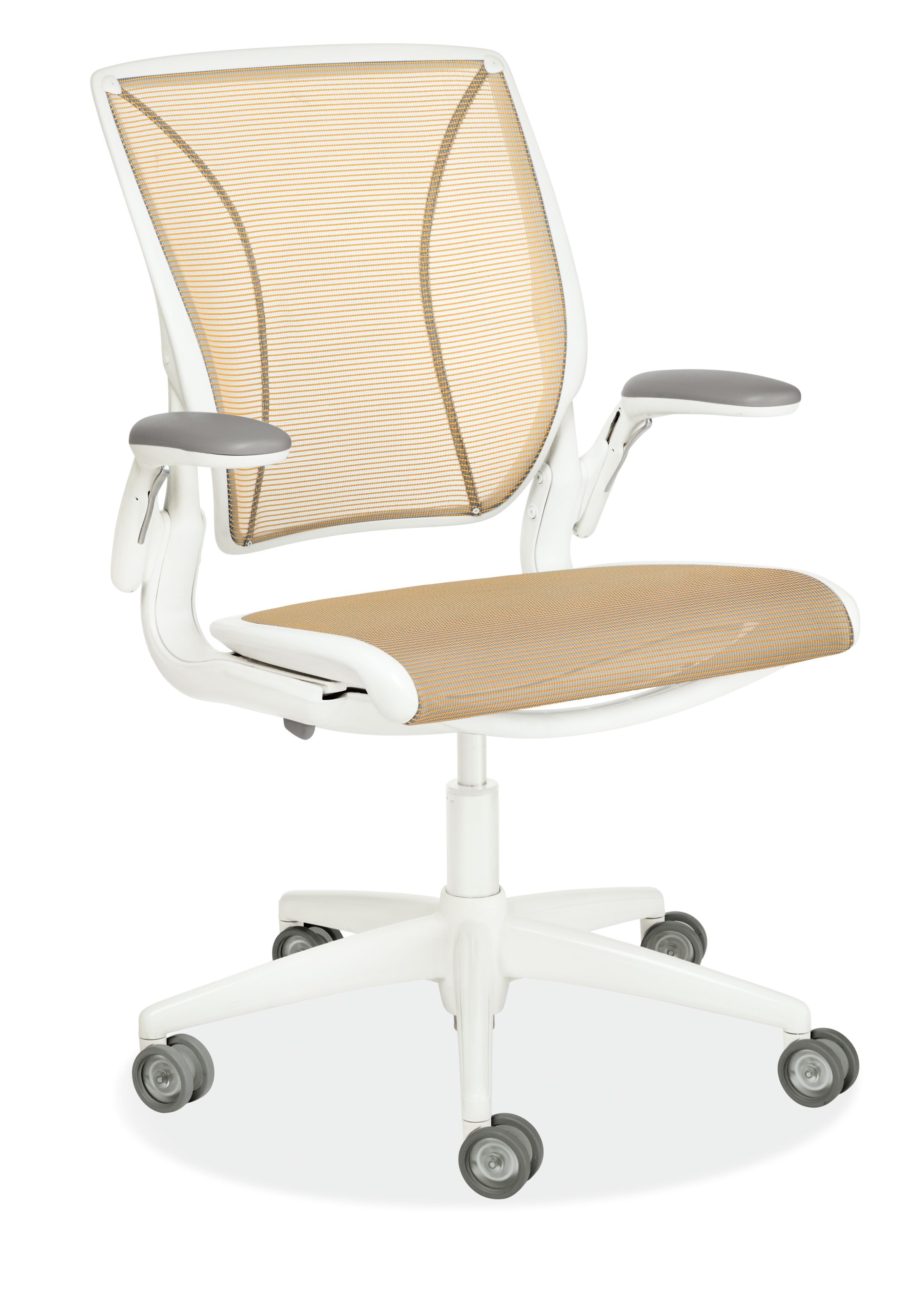 Diffrient World® Adjustable Arm Office Chair