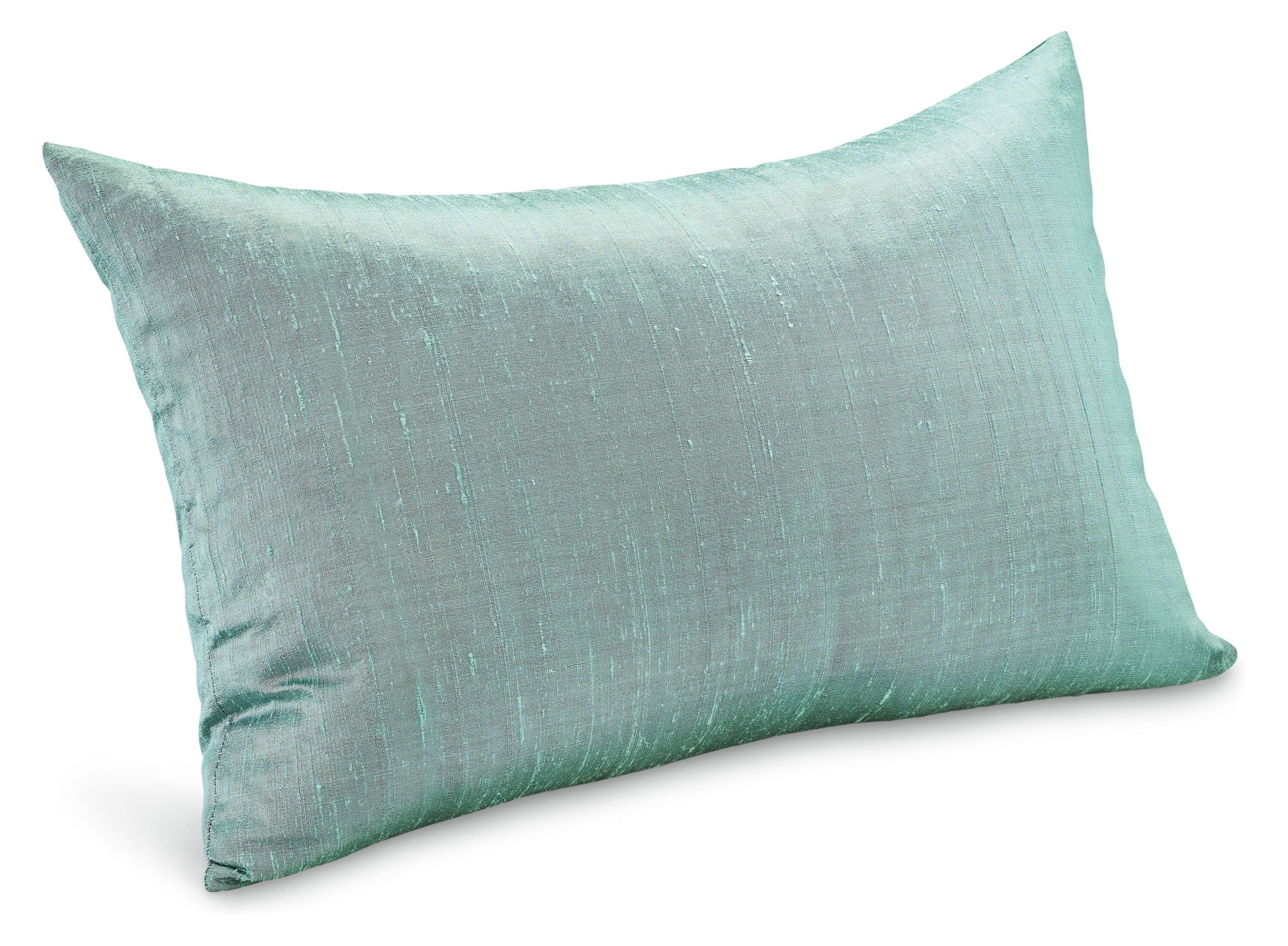 Silk 20w 13h Throw Pillow Cover