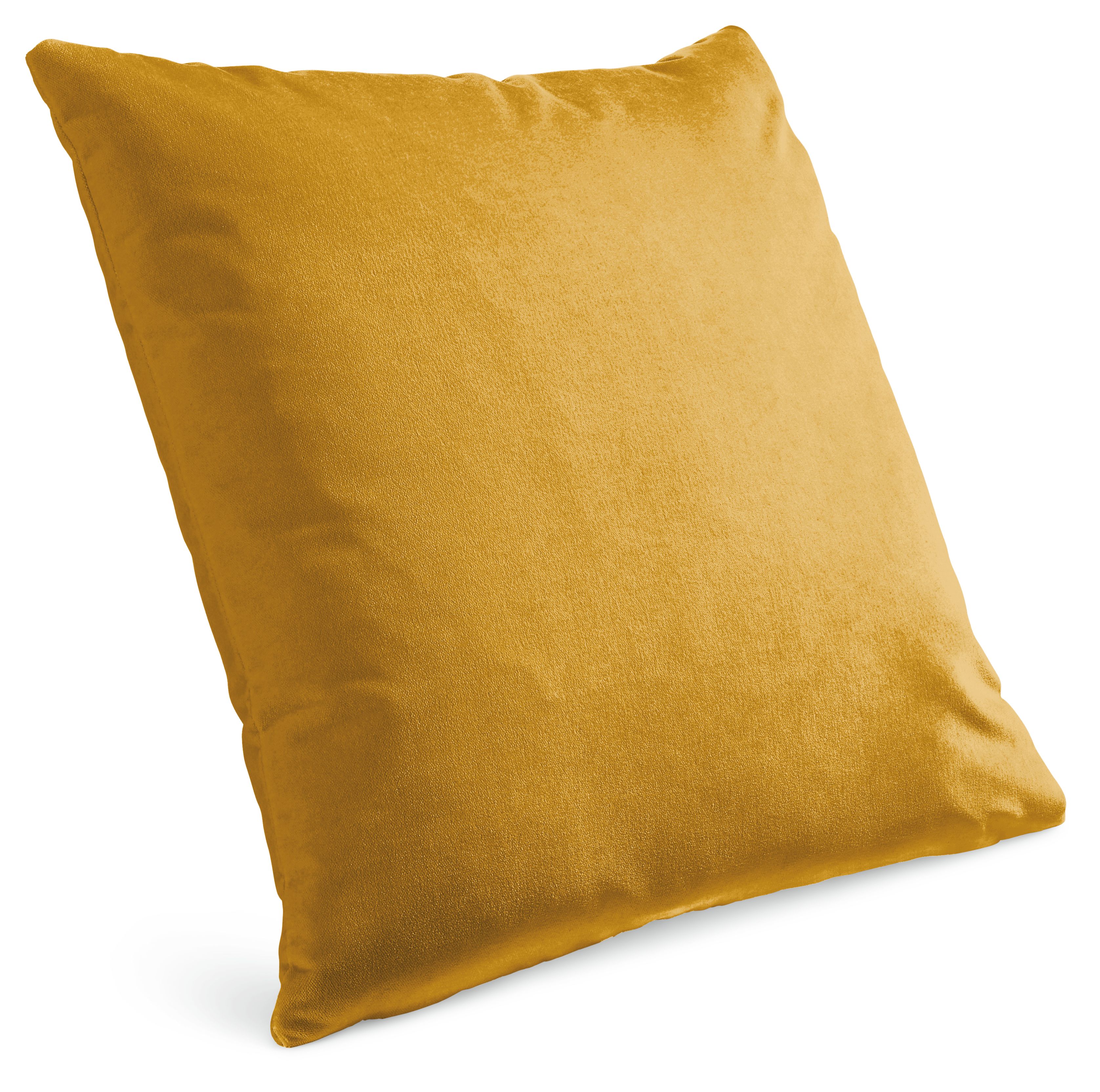 Velvet 24w 24h Throw Pillow Cover