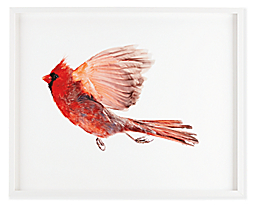 Paul Nelson, Northern Cardinal Male 1, 2009, White