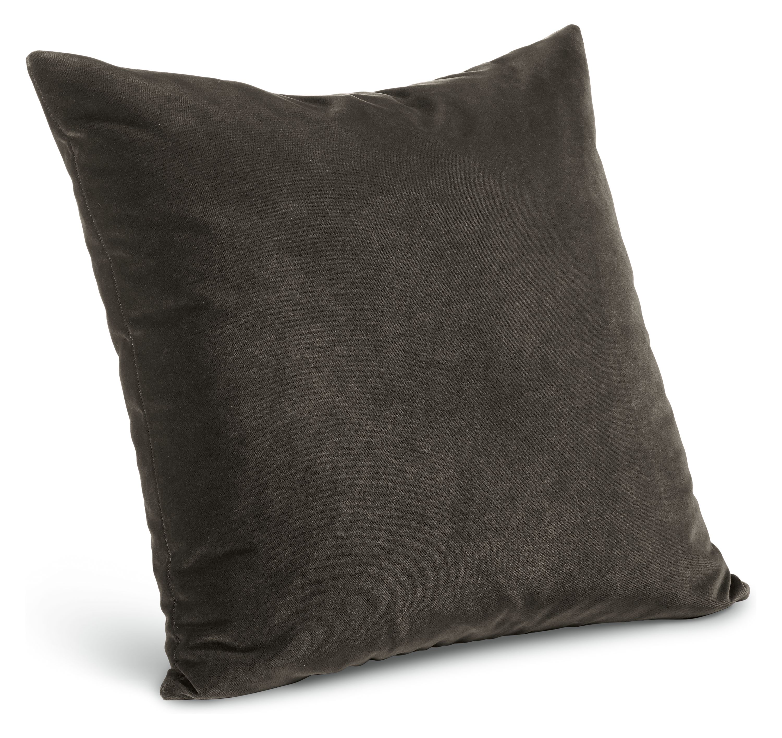 Velvet 24w 24h Throw Pillow in Charcoal