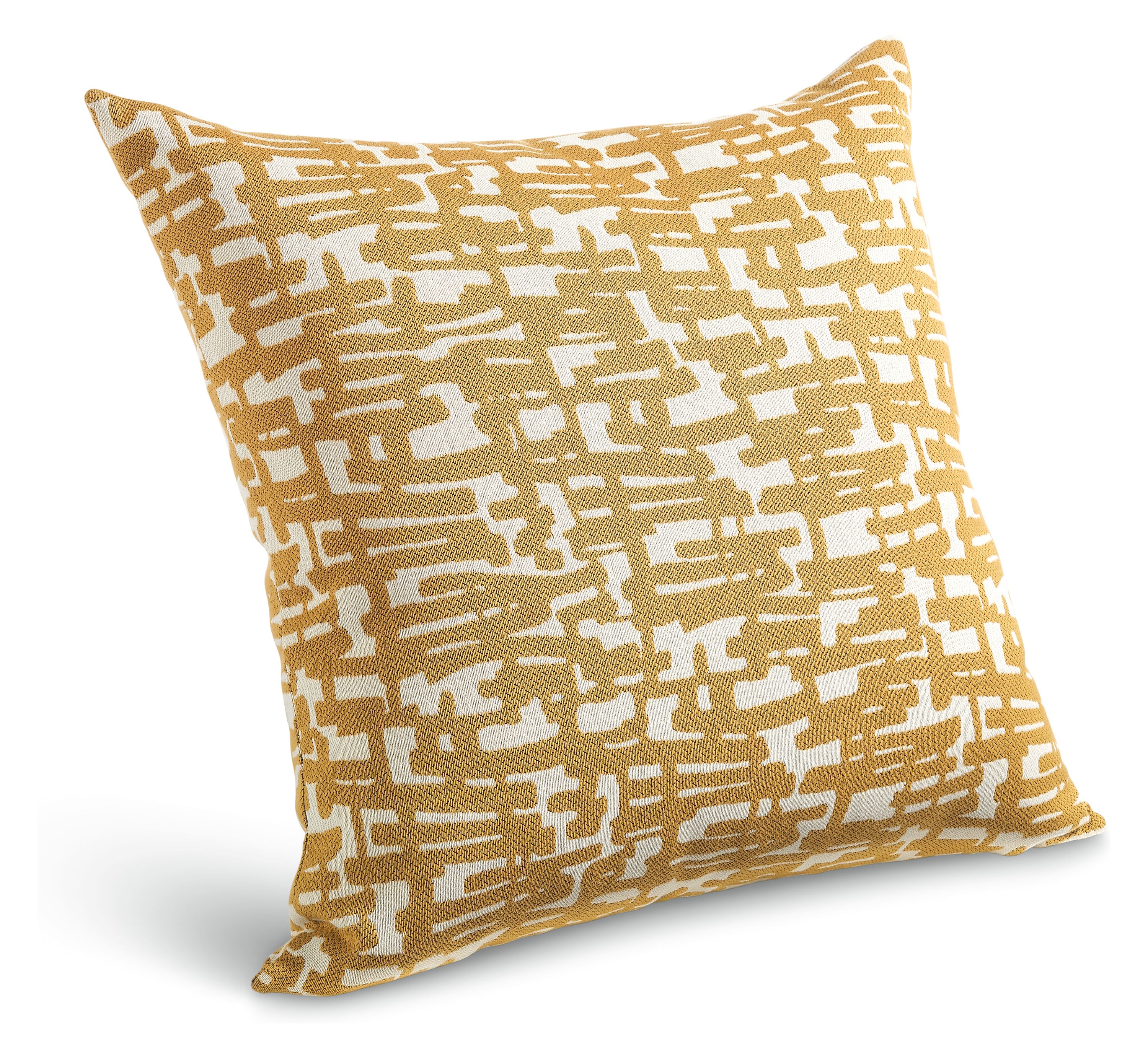 Room and hotsell board outdoor pillows