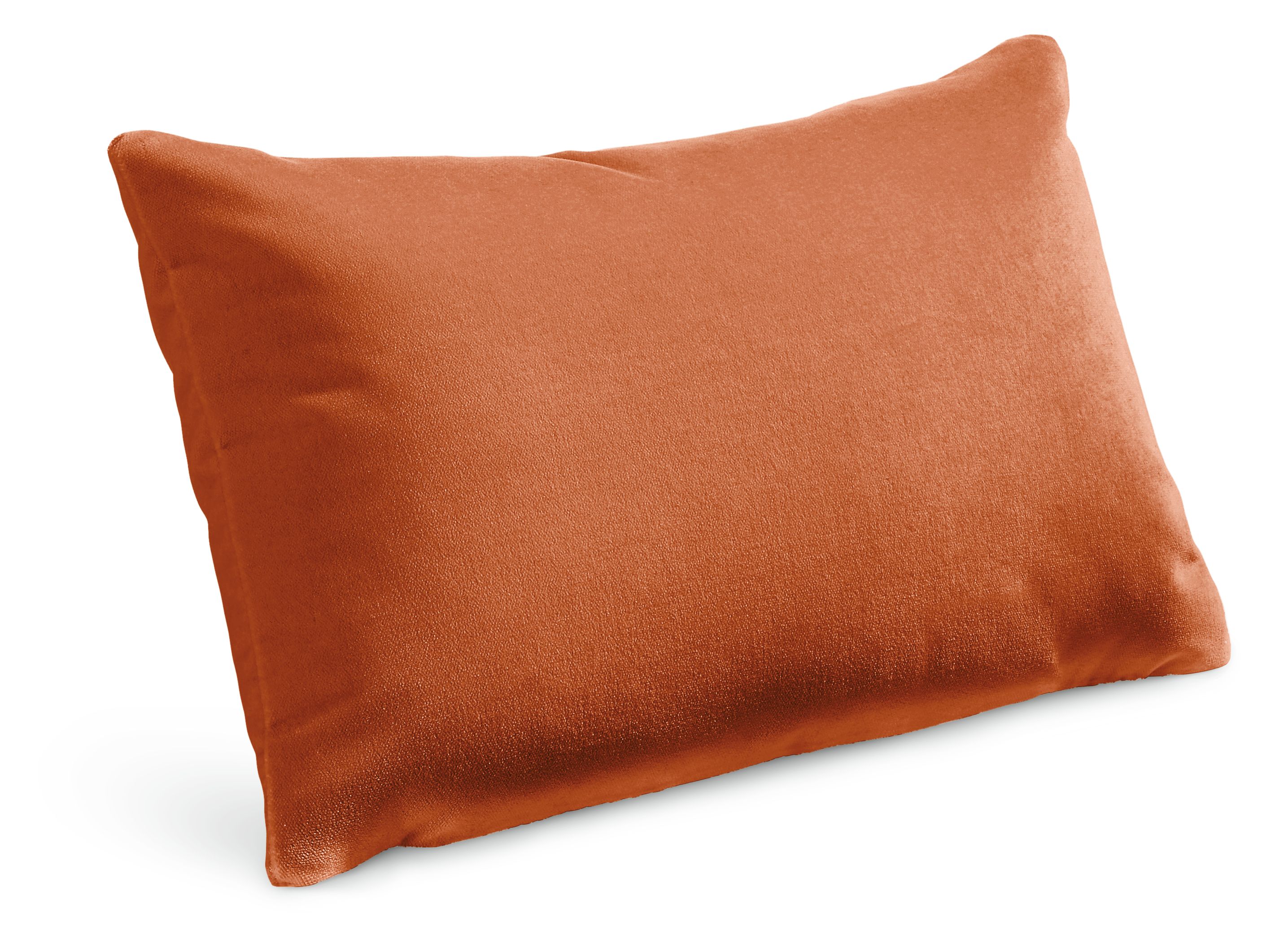 Velvet 20w 13h Throw Pillow Cover
