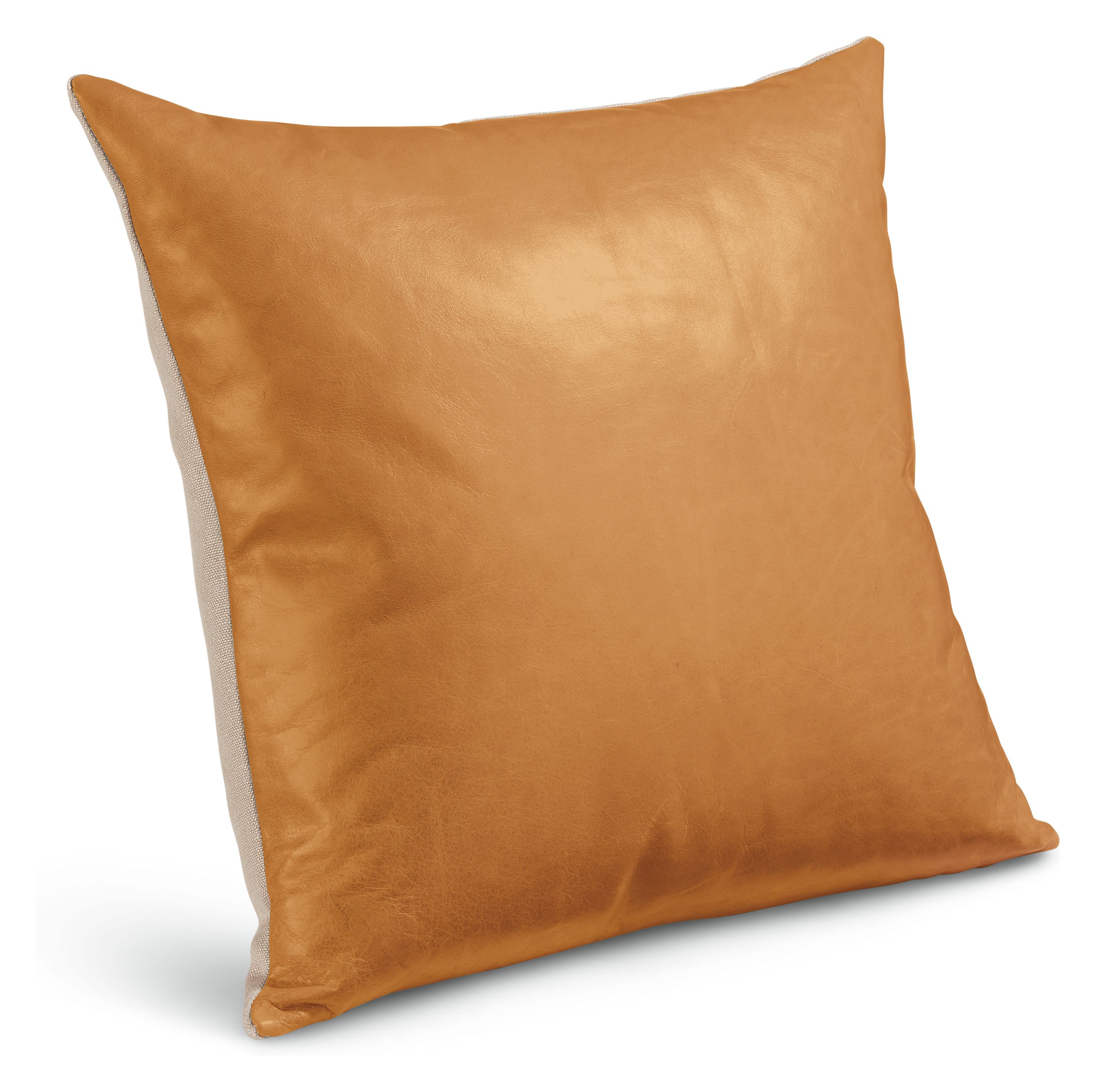 Ewan 20w 20h Throw Pillow Cover in Camel