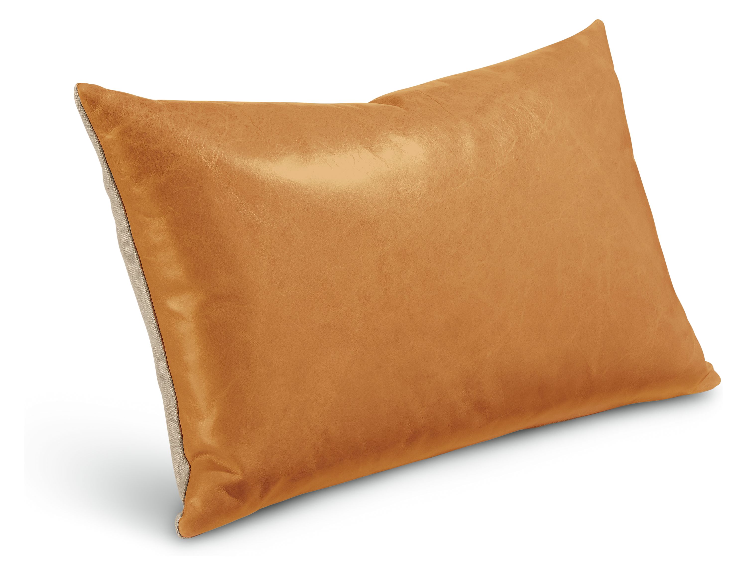 Ewan 20w 13h Throw Pillow Cover in Camel