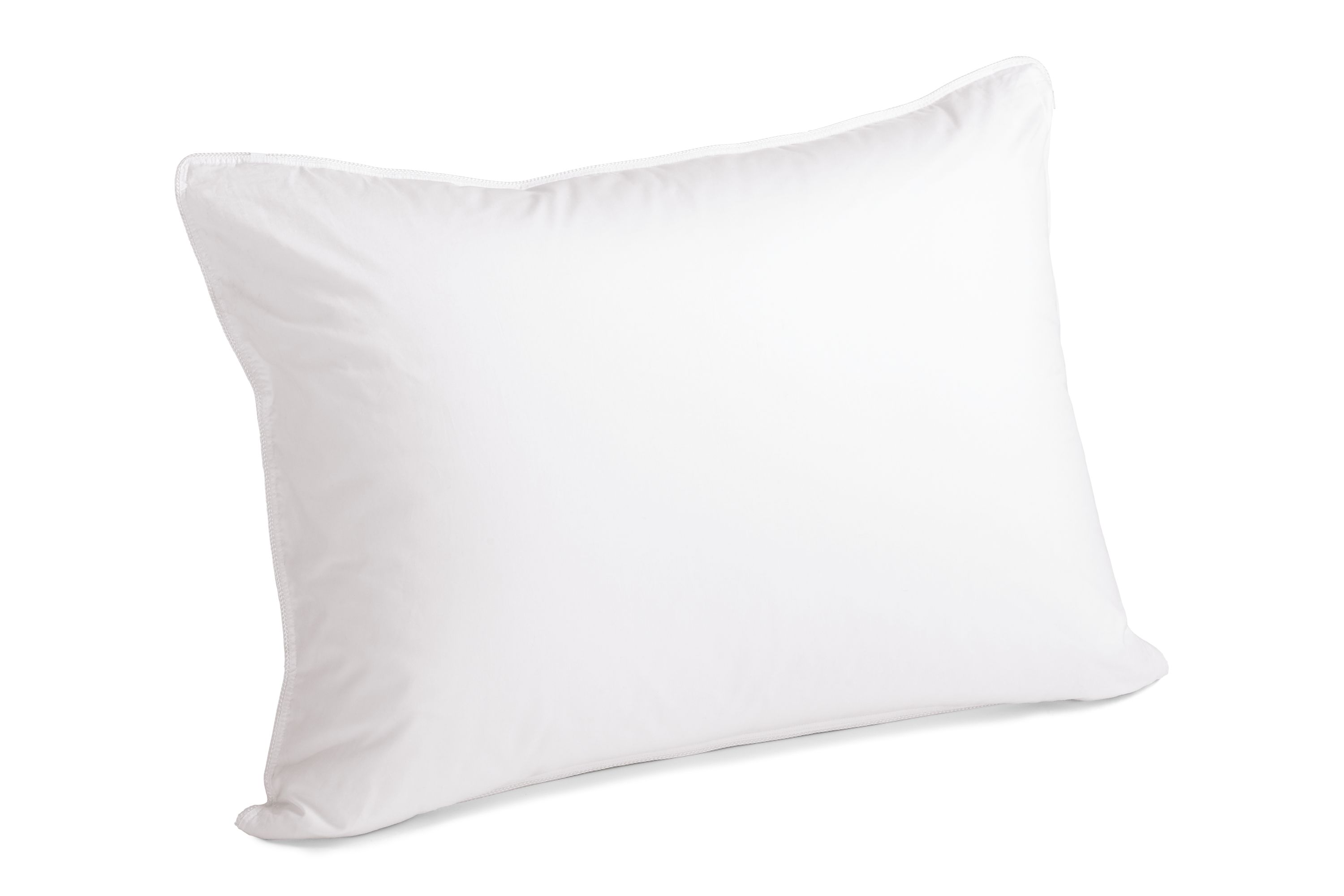 Room Board Modern Down Standard Pillow Soft in White