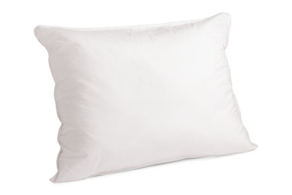 Room & Board Pillow Inserts