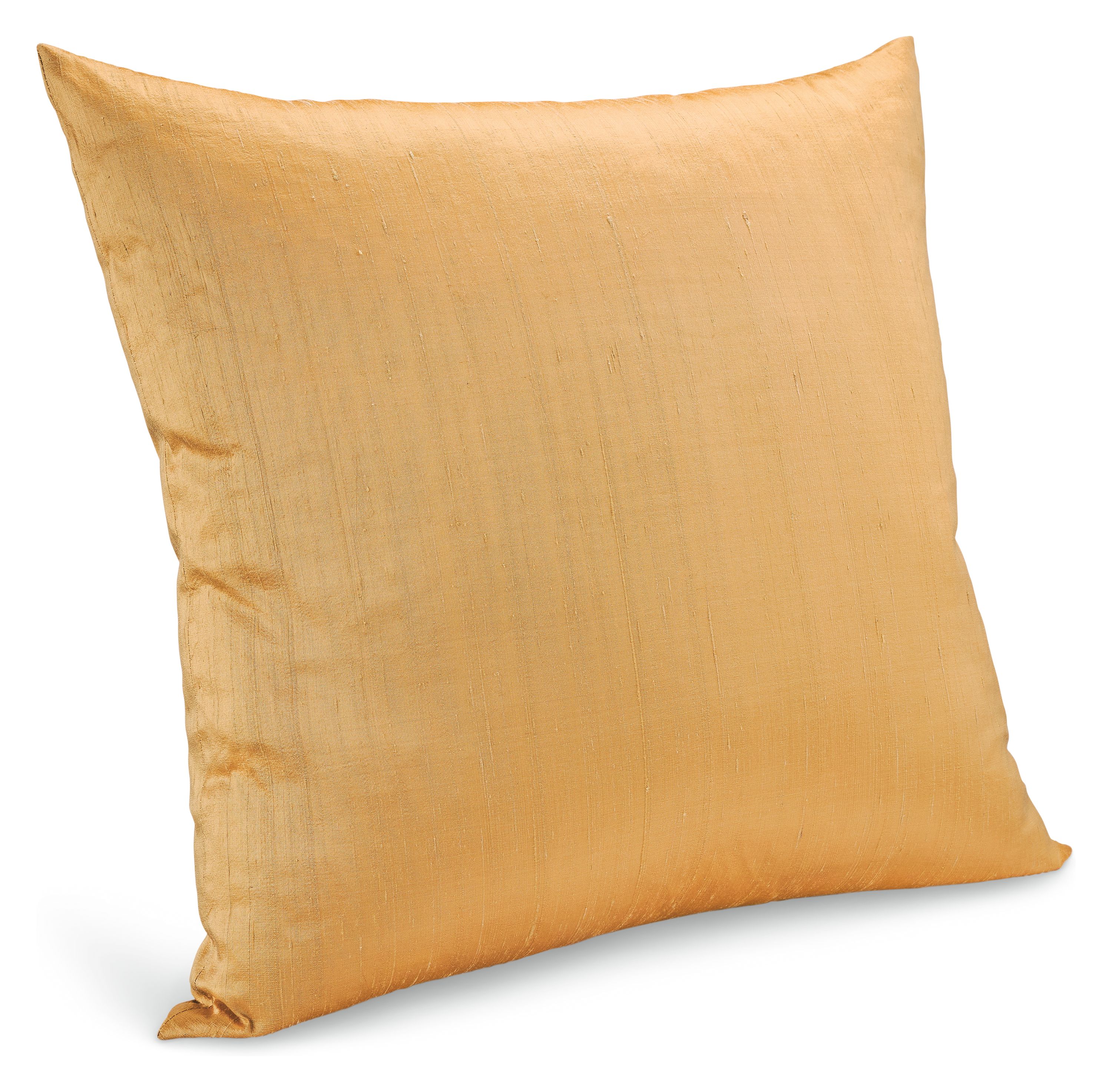 Silk 24w 24h Throw Pillow Cover