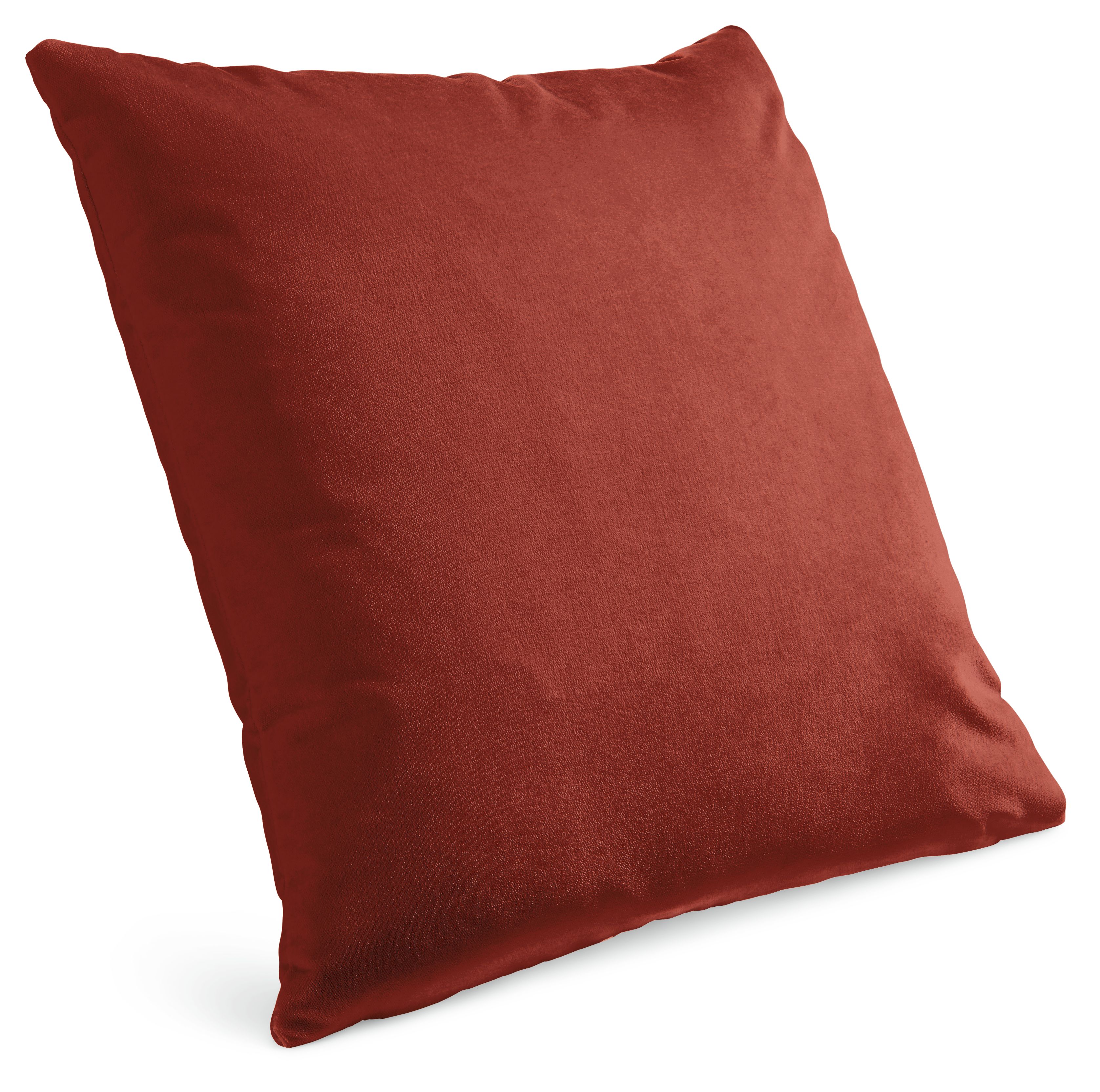 Velvet 24w 24h Throw Pillow Cover