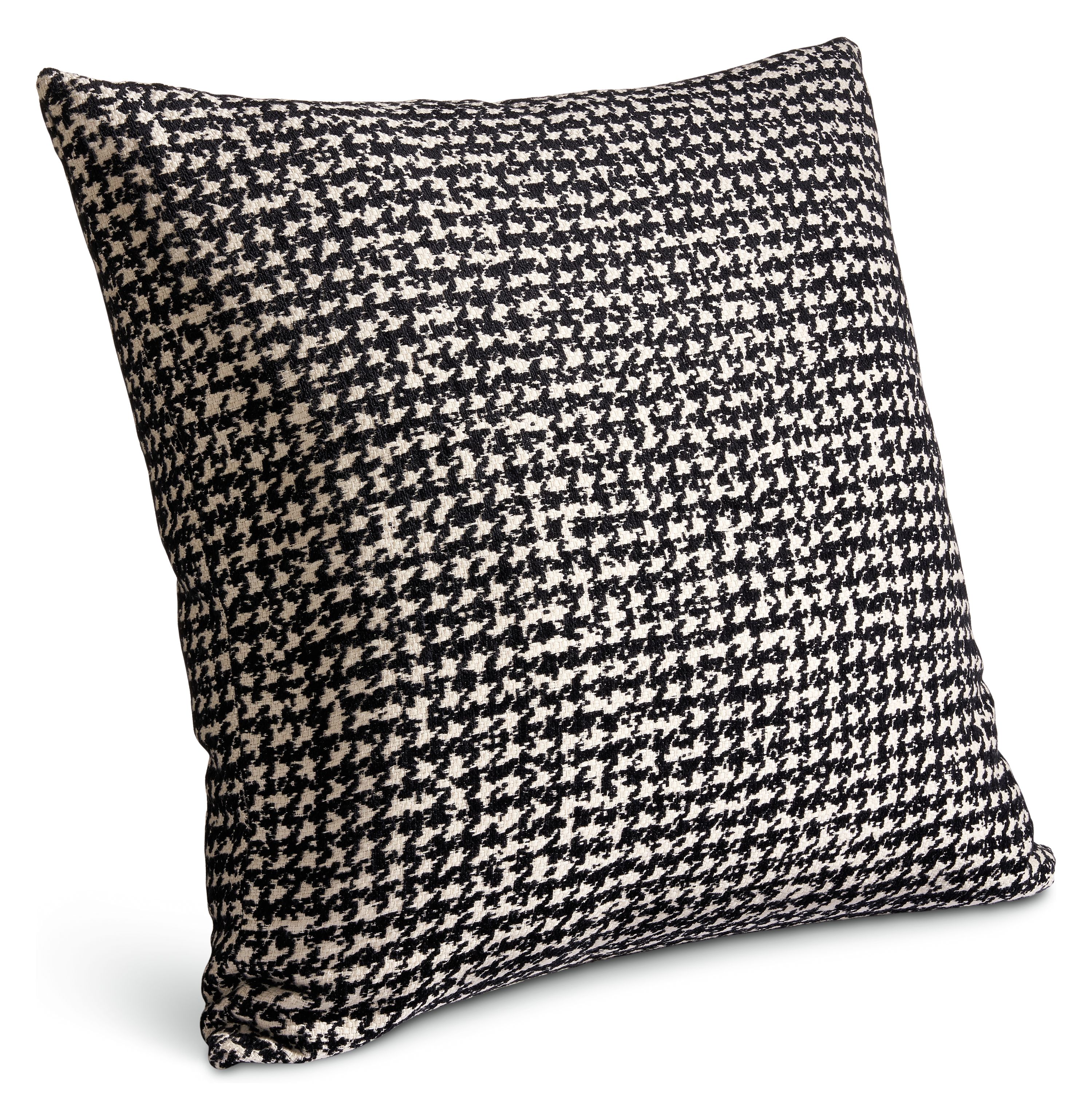 Barnes 24w 24h Throw Pillow in Black/White