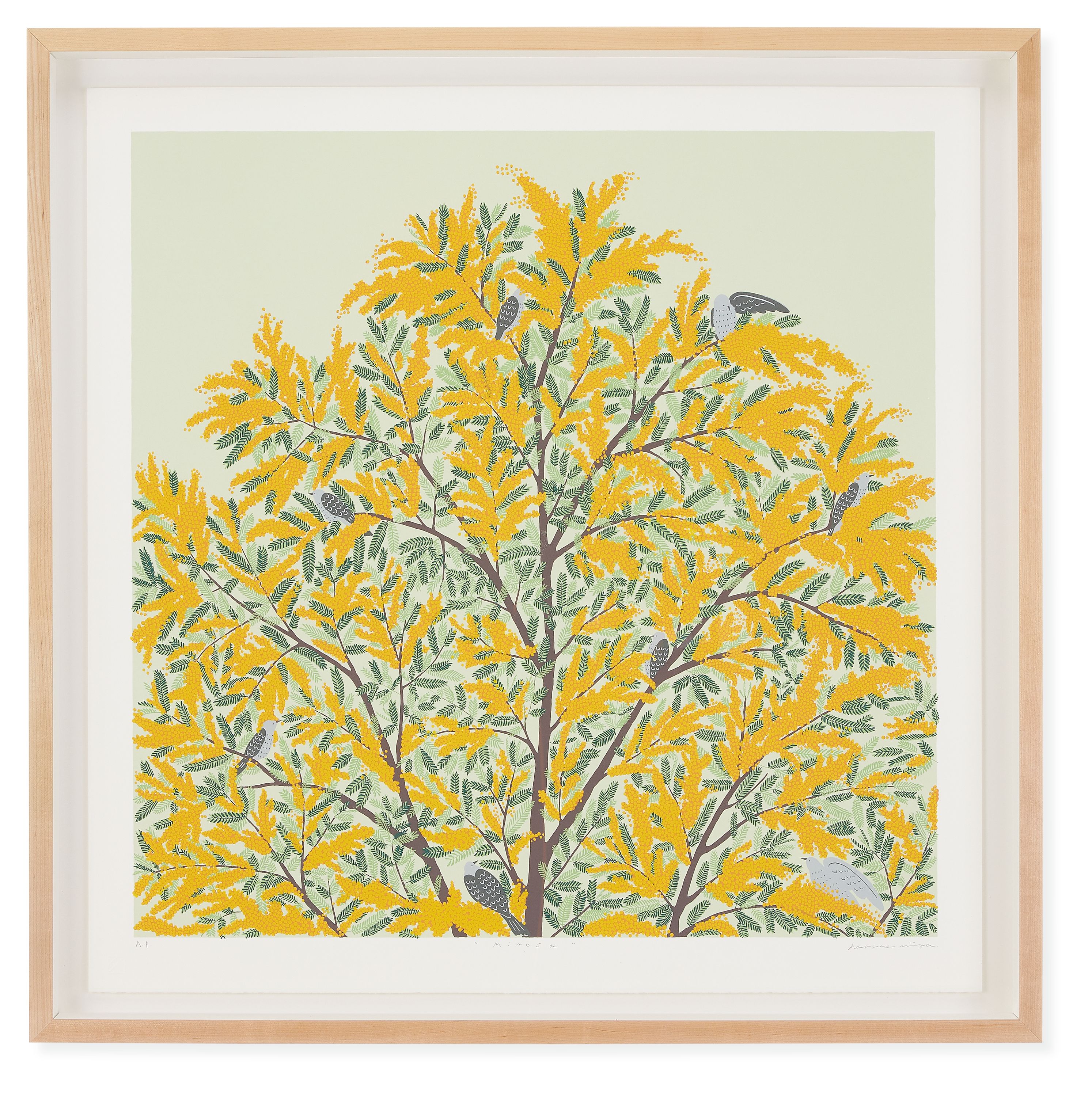 Haruna Niiya, Mimosa, 2023, Limited Edition Silkscreen