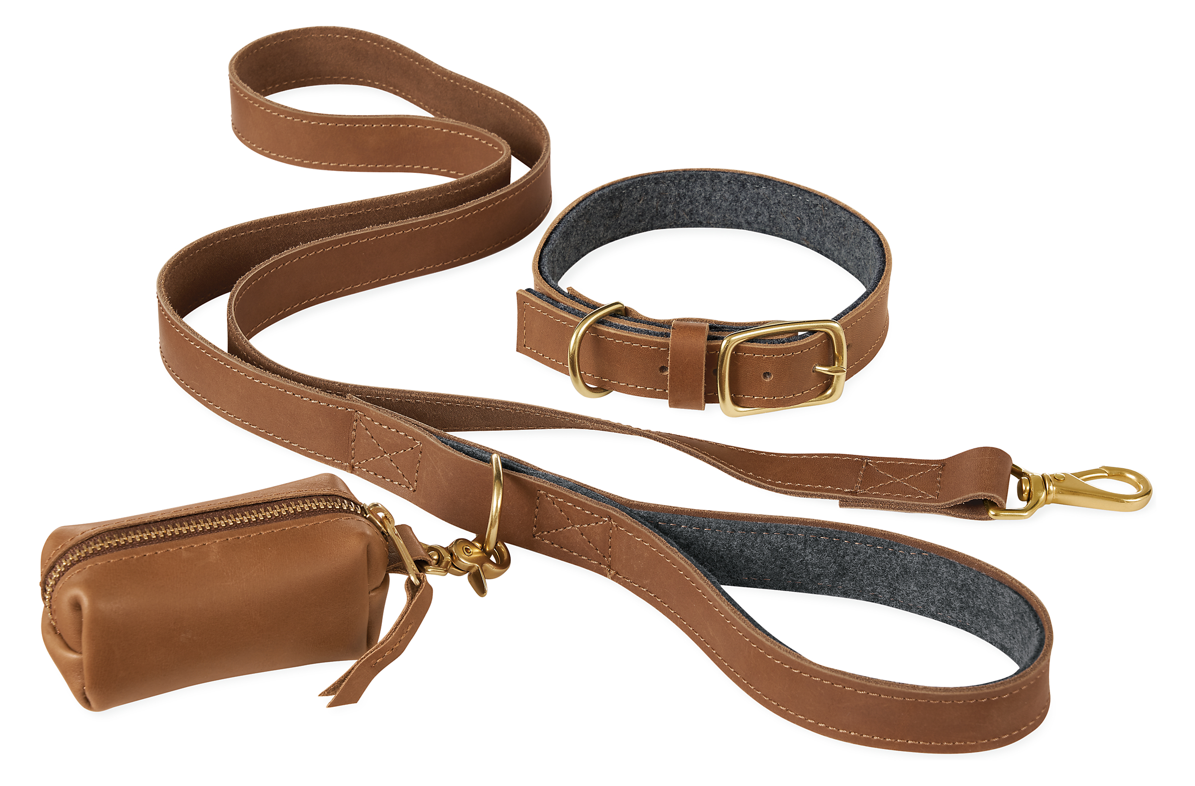 Miles Medium Dog Collar/Leash/Waste Bag Holder