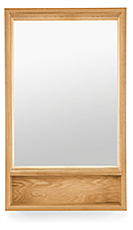 Loft 30w 4.5d 50h Mirror with Shelf