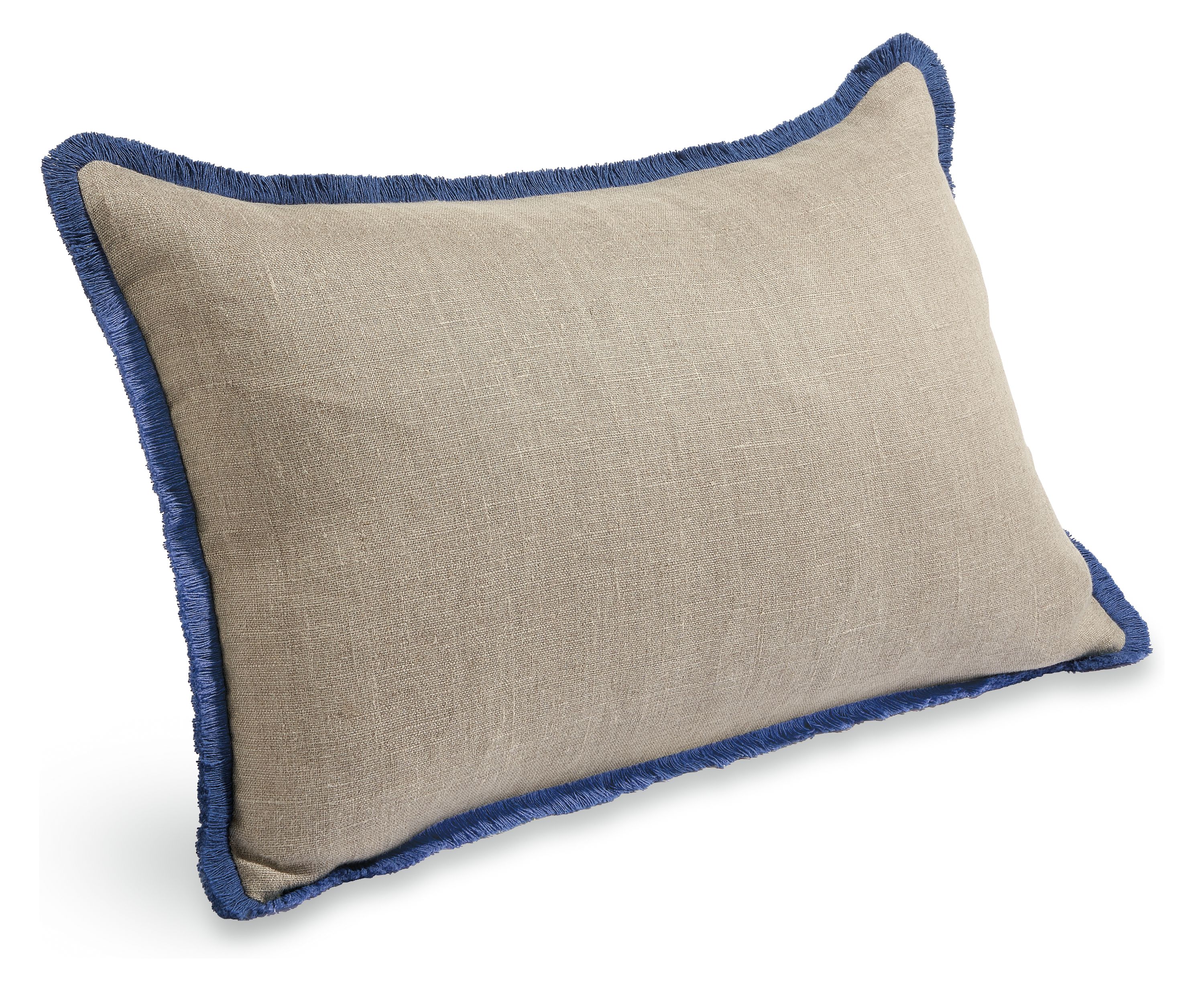 Marling 20w 13h Throw Pillow in Natural with Blue Fringe