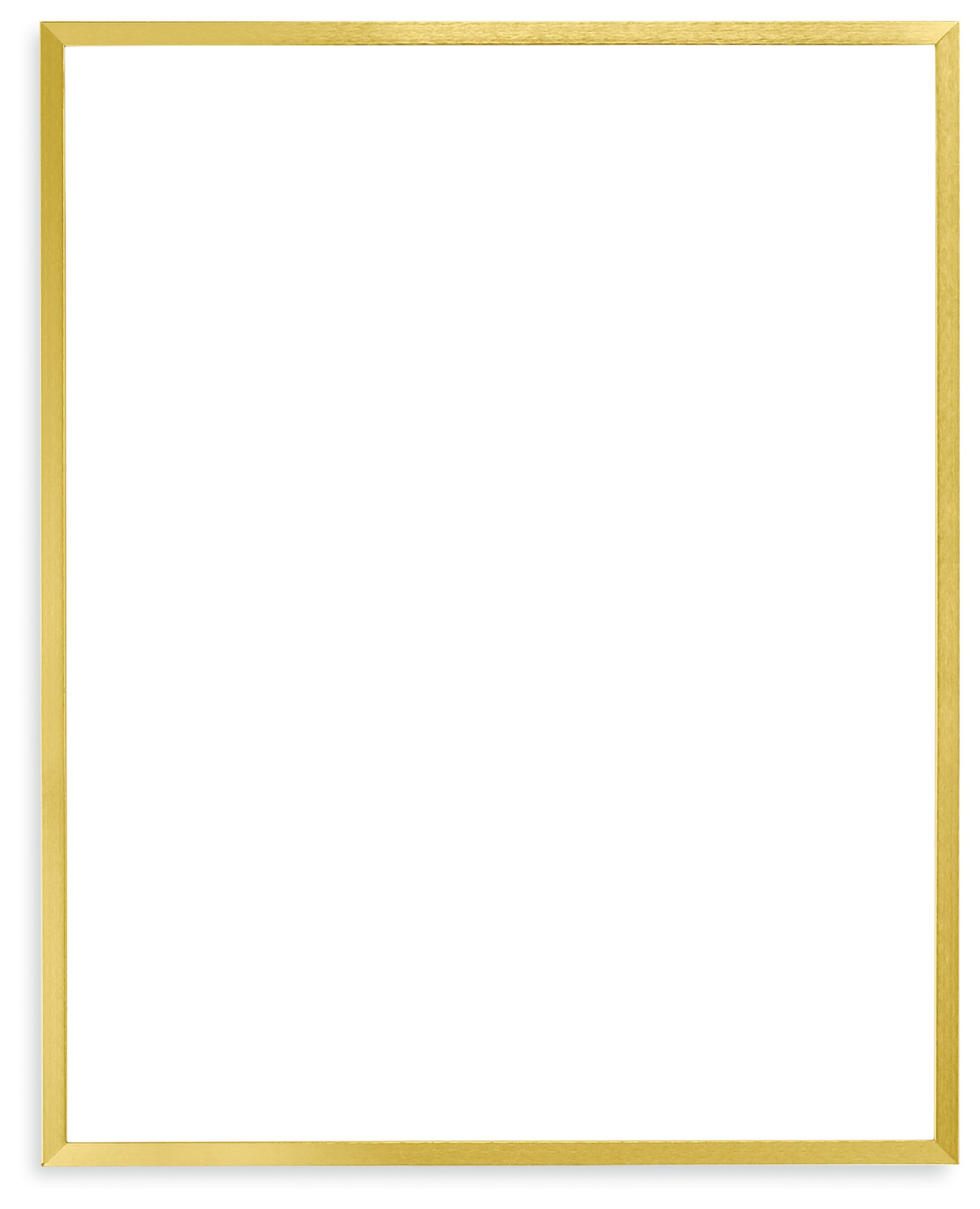 Profile 8x10 Opening/16x20 Frame