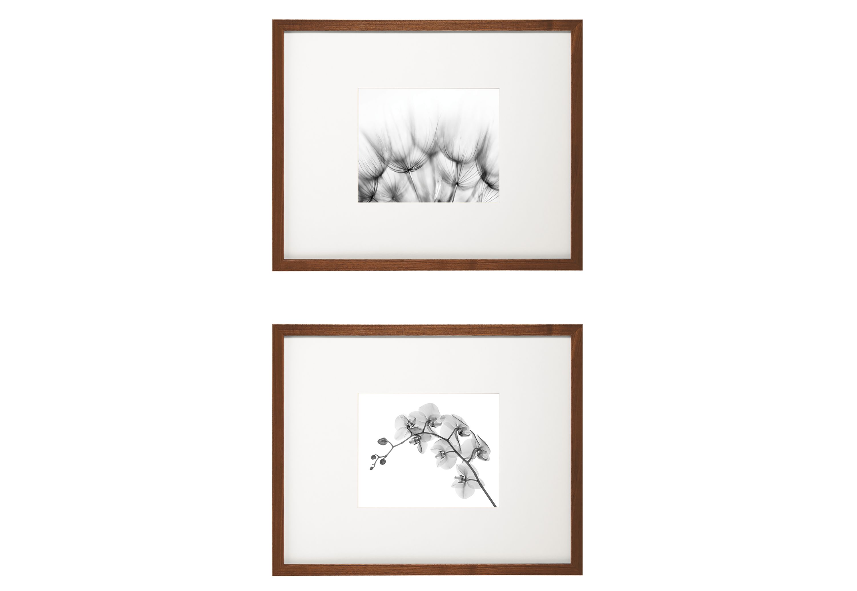 Profile & Manhattan Frame Set of 6