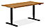 Aedric 60w 30d 23-49h Adjustable Standing Desk