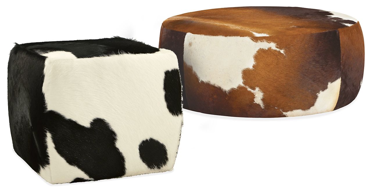 LIND_COW_OTTO_10