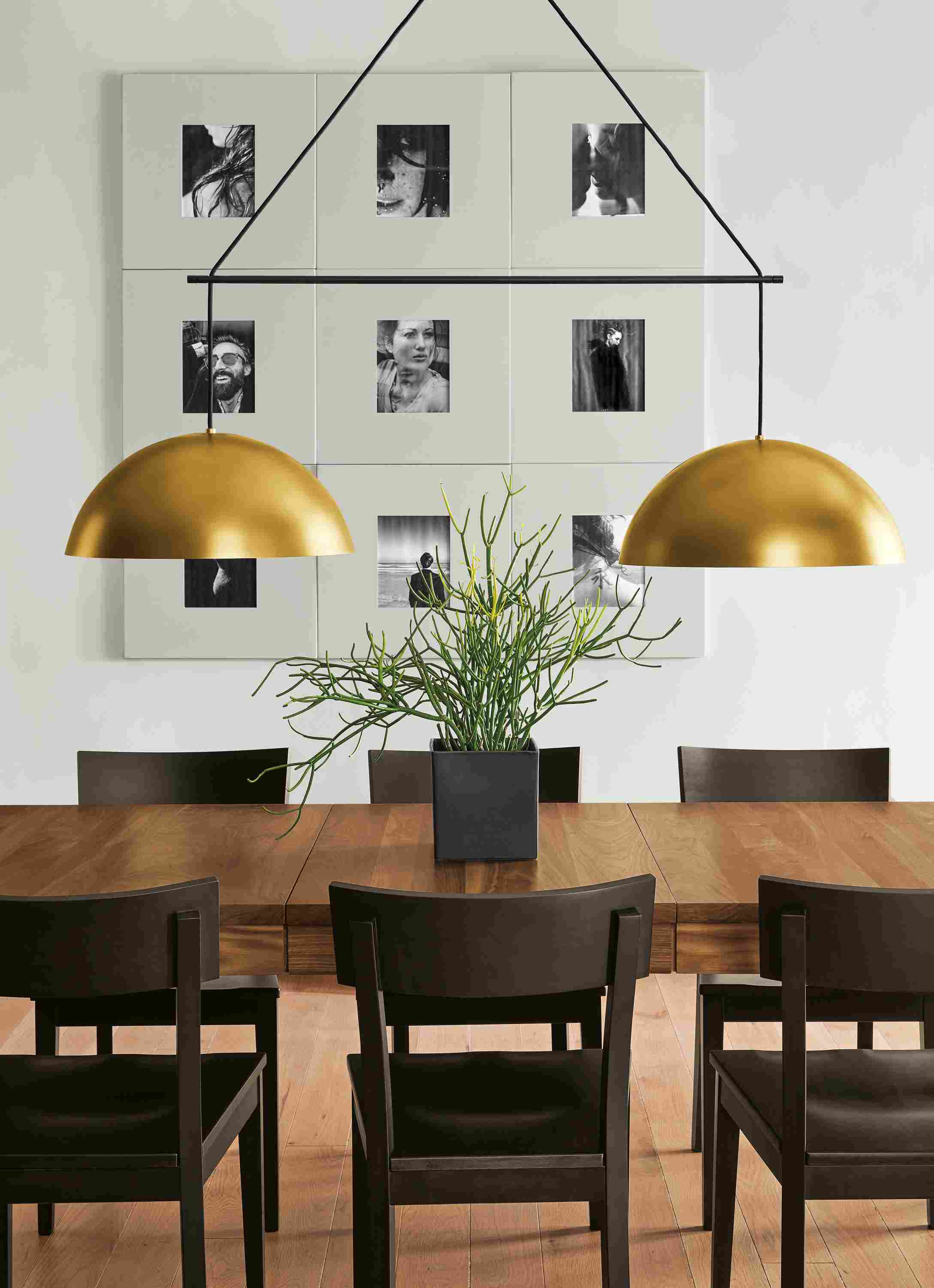 Detail of Aurora doubel pendant fixture in brass above dinner table.