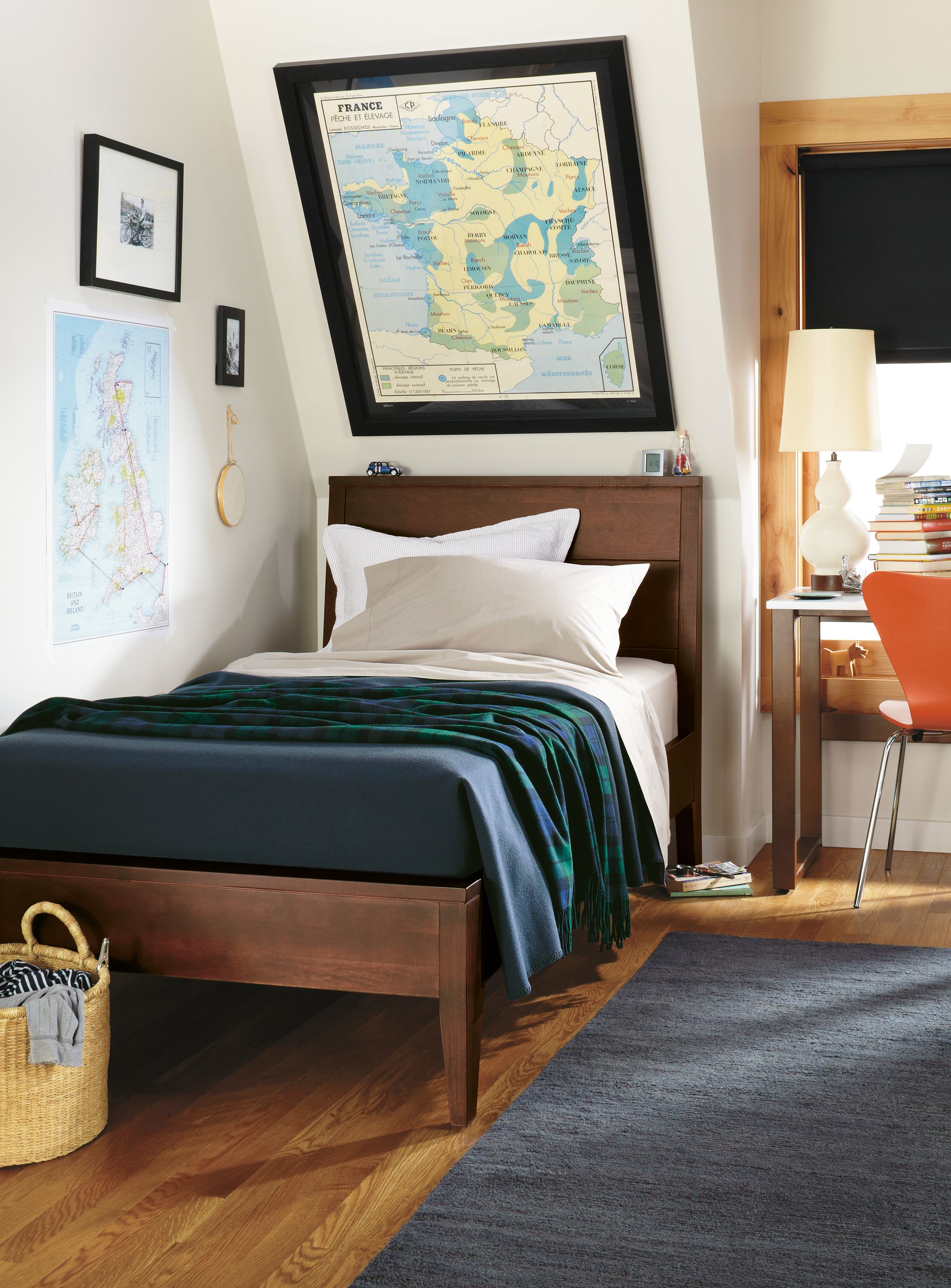 Vintage French School Map