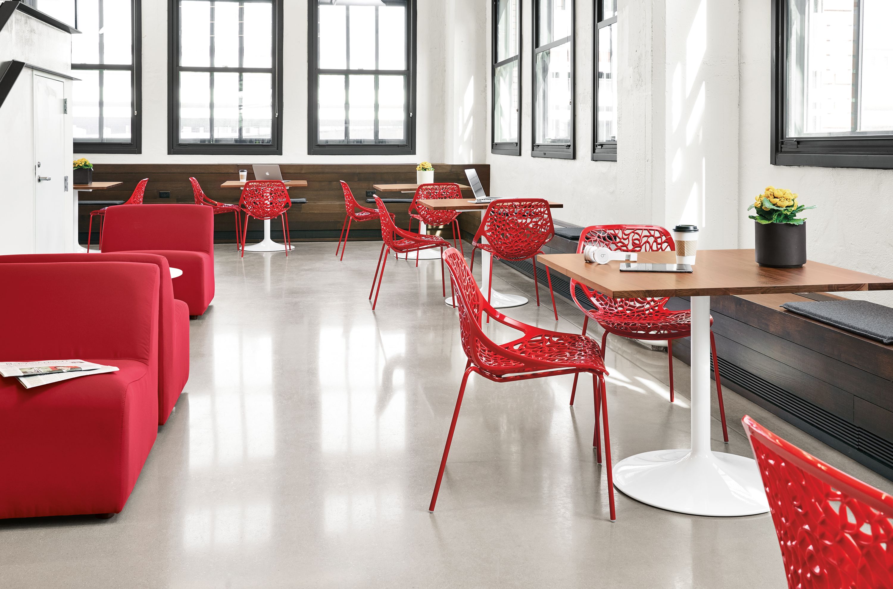 Commercial discount cafe chairs