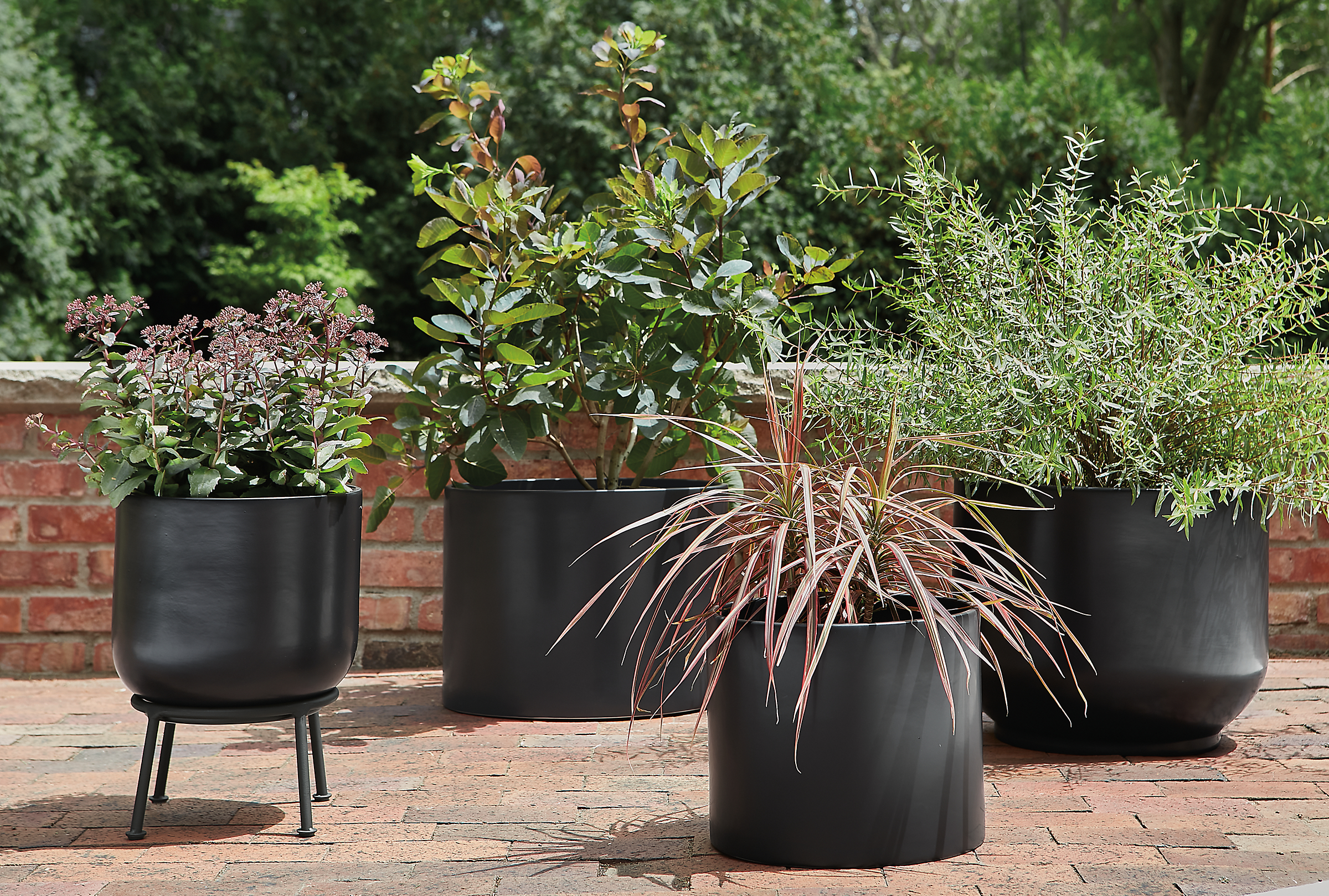 two cassius black planters and two model one black planters on brick walkway.
