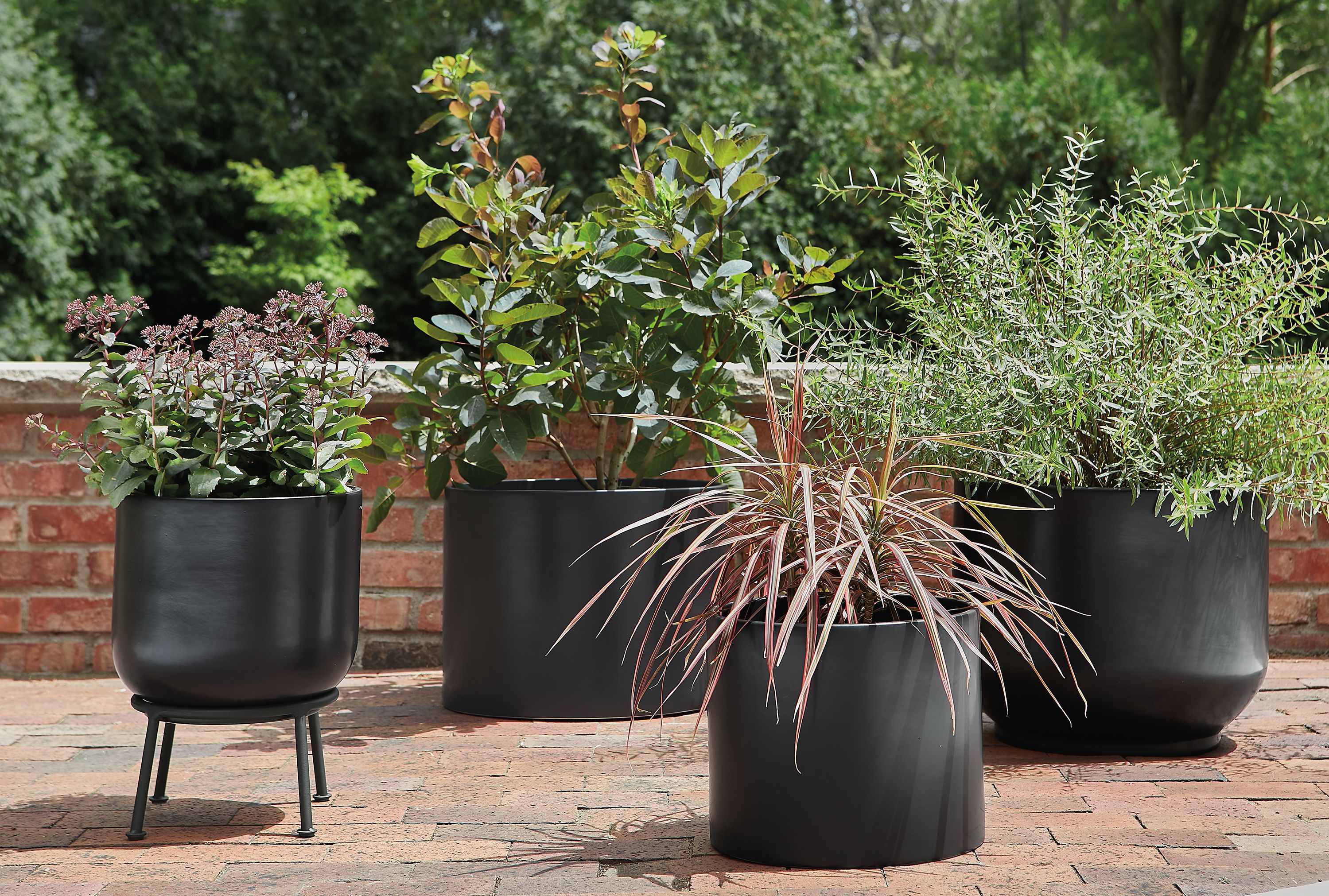Cassius collection planters
