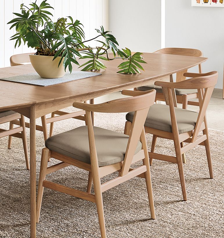 Dining Chairs