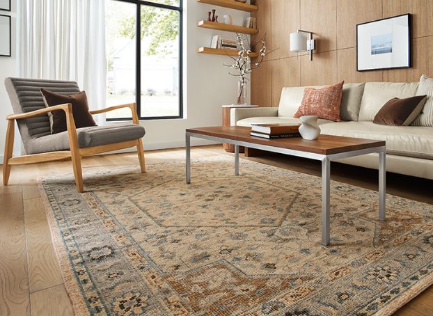 Living Room Rugs