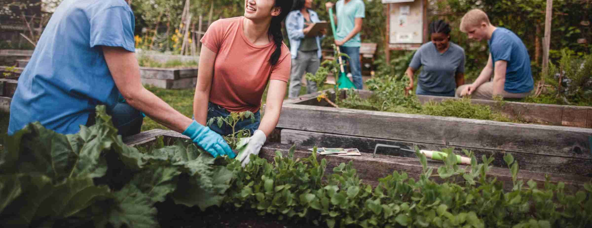 Community Giving - Sustainability - Room & Board