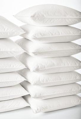 Room & Board Down Pillow
