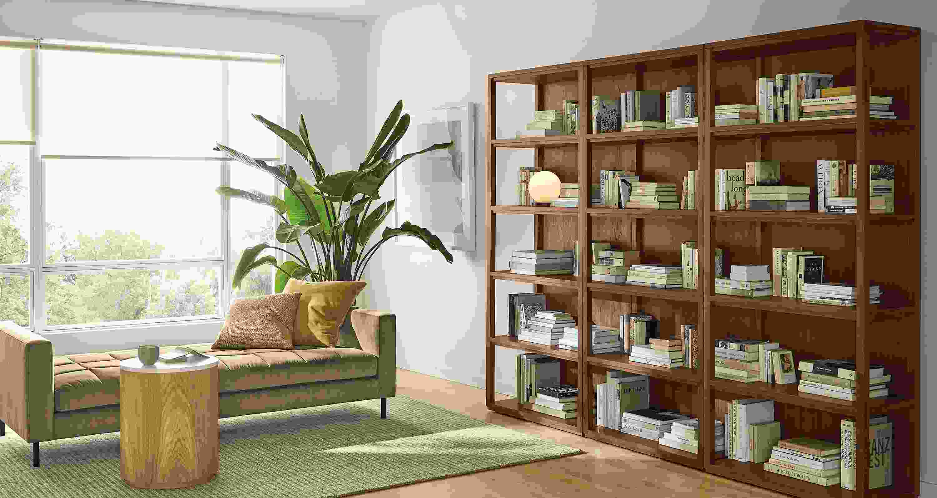 Living room with 3 Fable 36-wide bookcases in walnut, Lloyd daybed in Windsor Otter and Nera rug in stone.