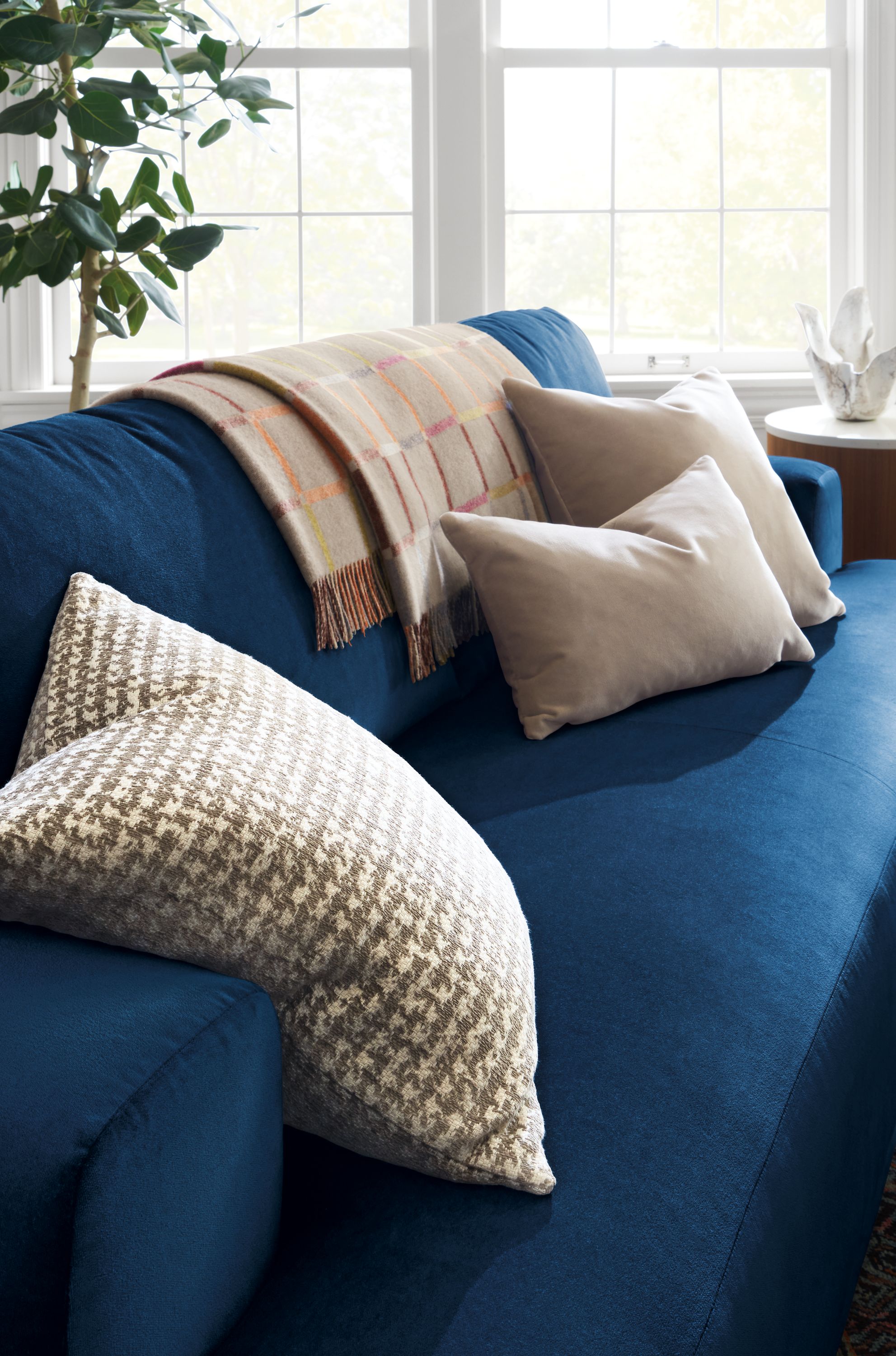 Fia in Vance Indigo with Velvet Pillows - Pop of Color - Room & Board
