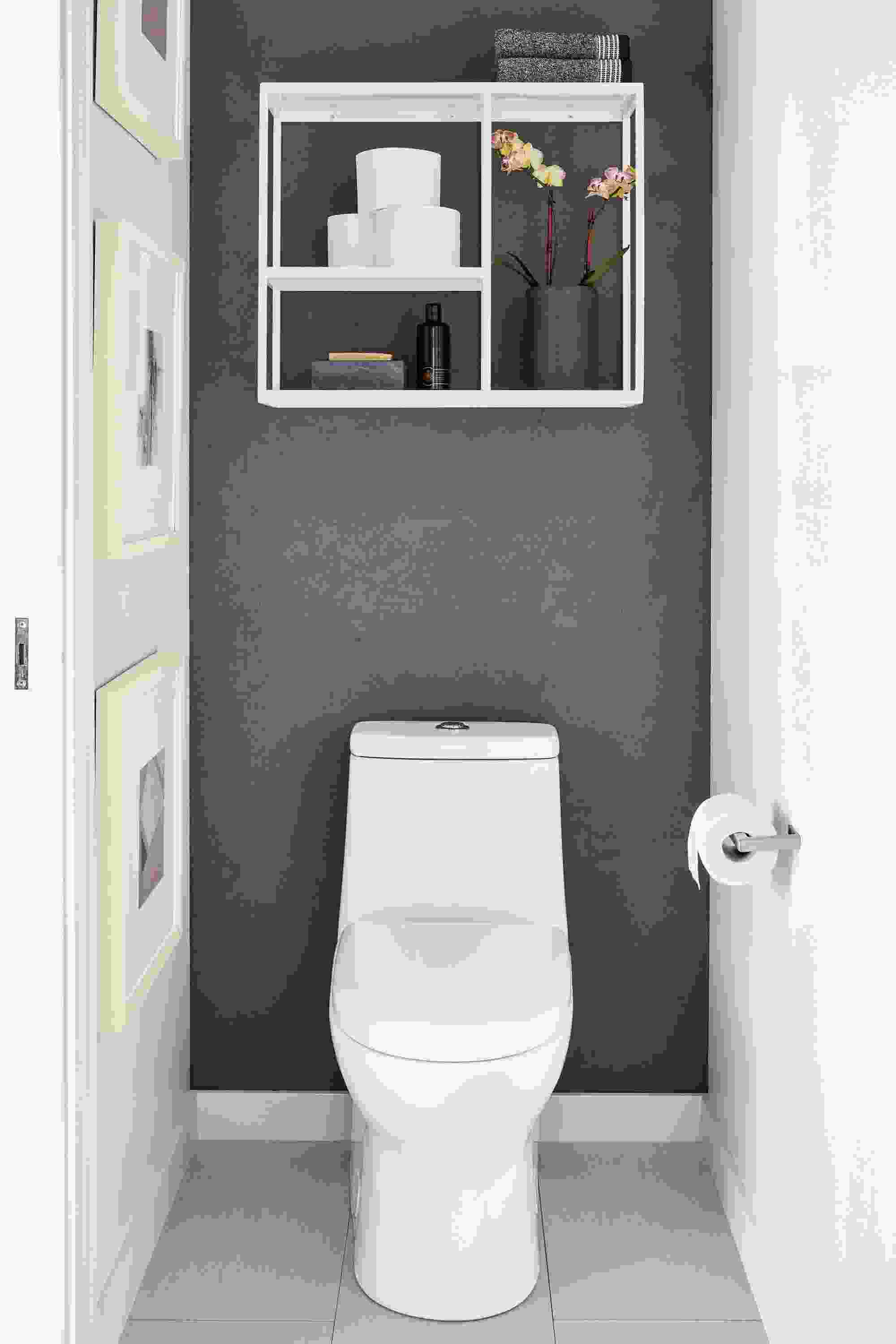 Front view of Foshay wall unit above toilet.