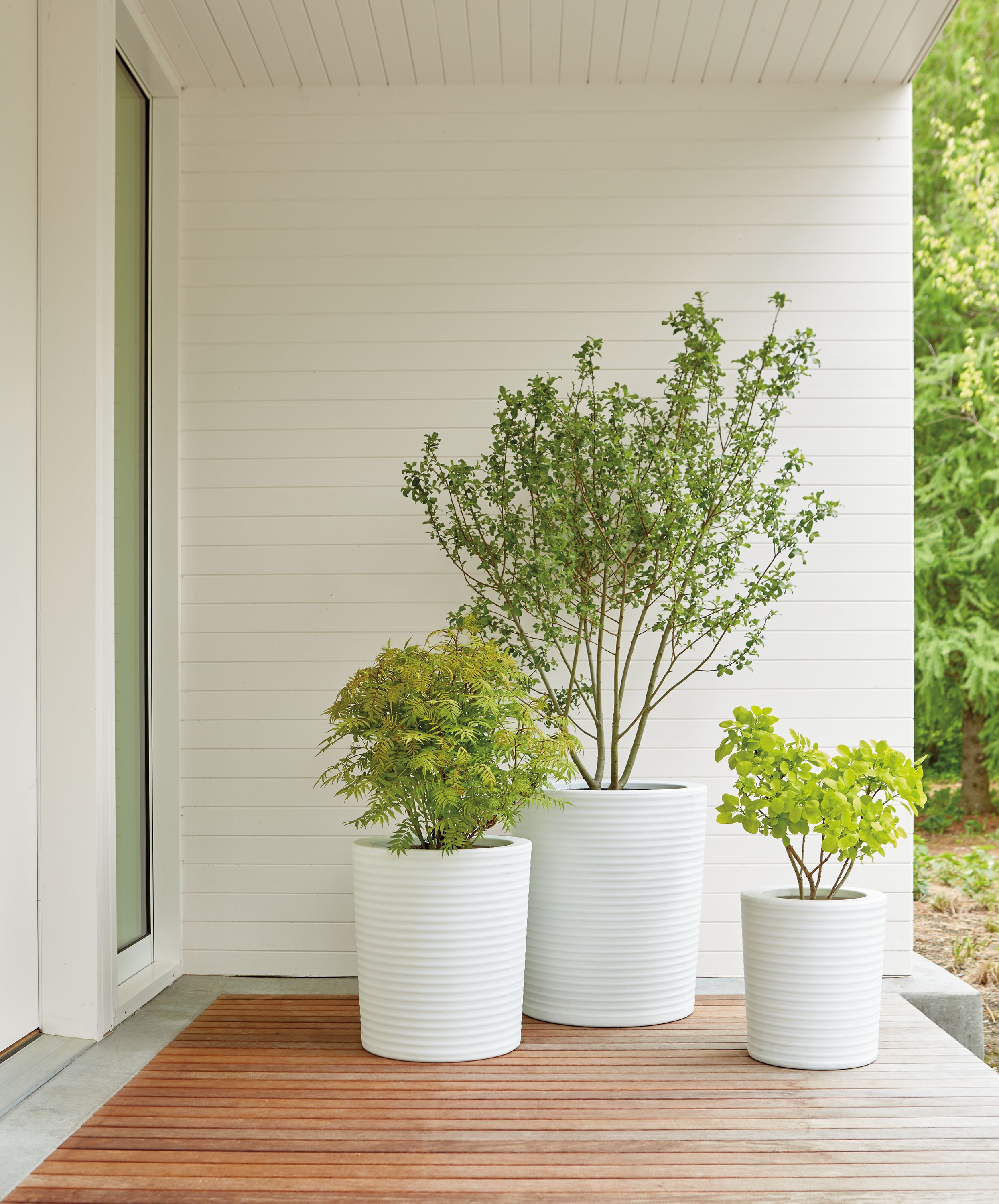 Detail of three white Furrow planters.