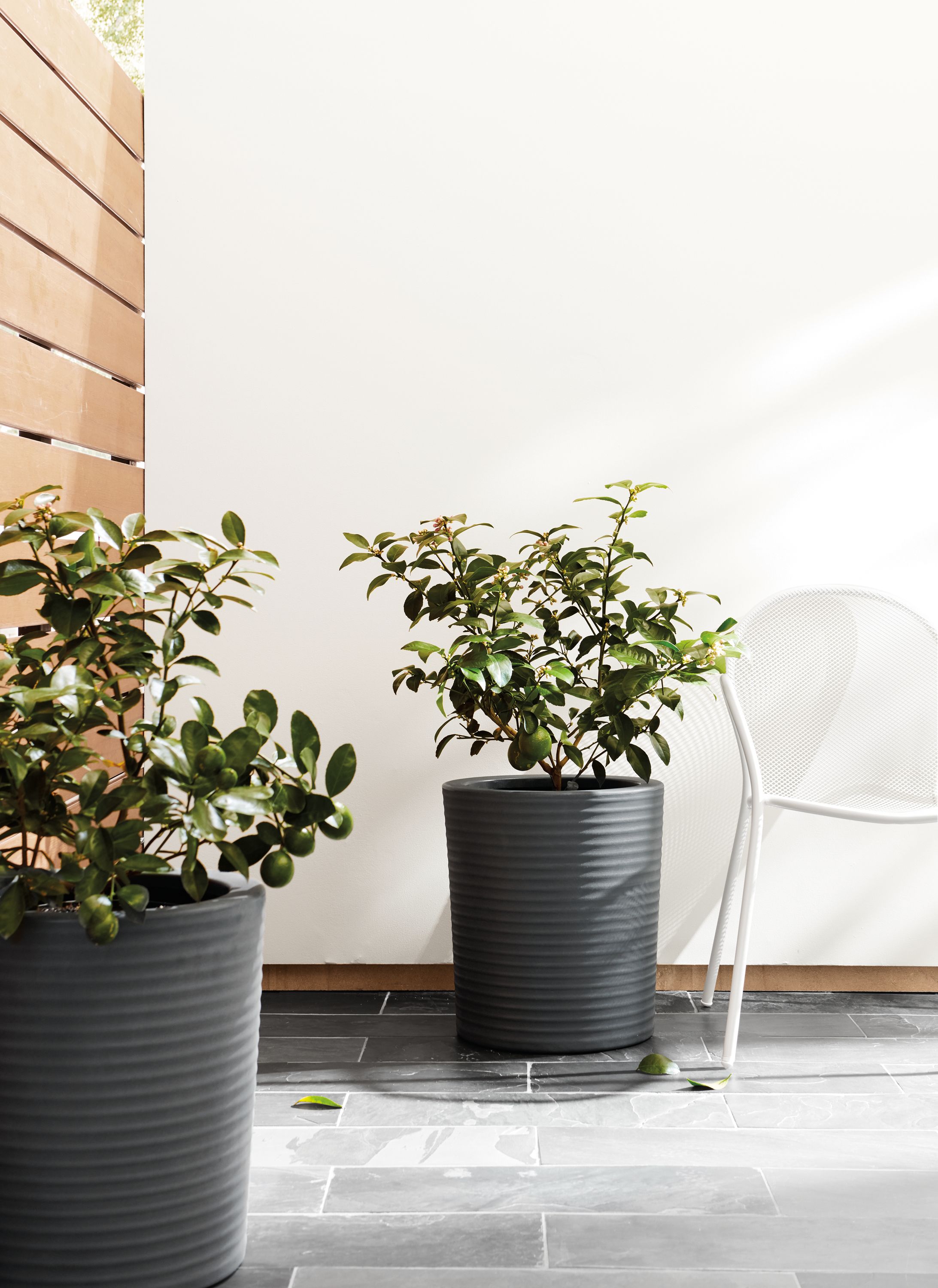 Detail of Furrow routed outdoor planter.