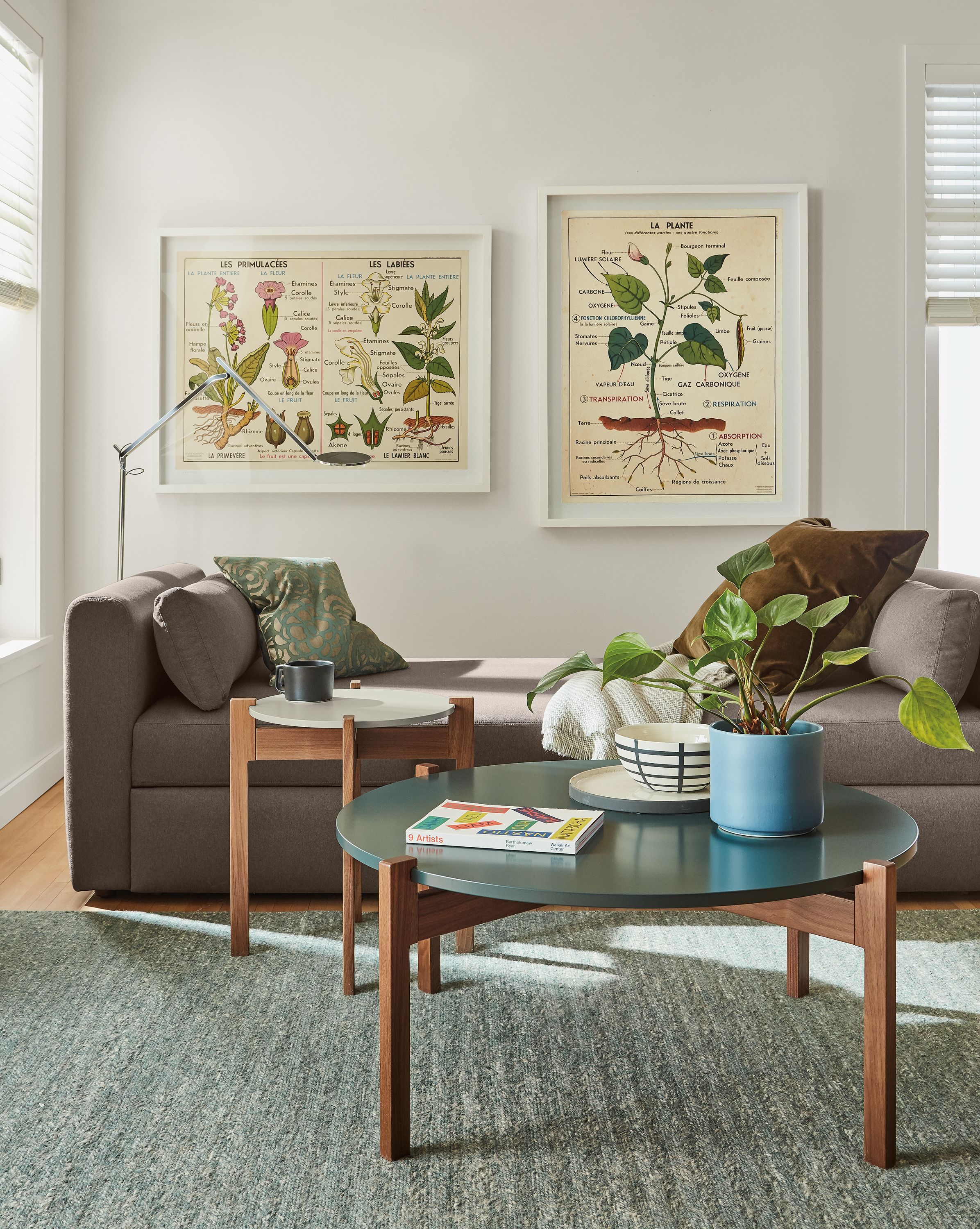 Vintage French Botany Chart