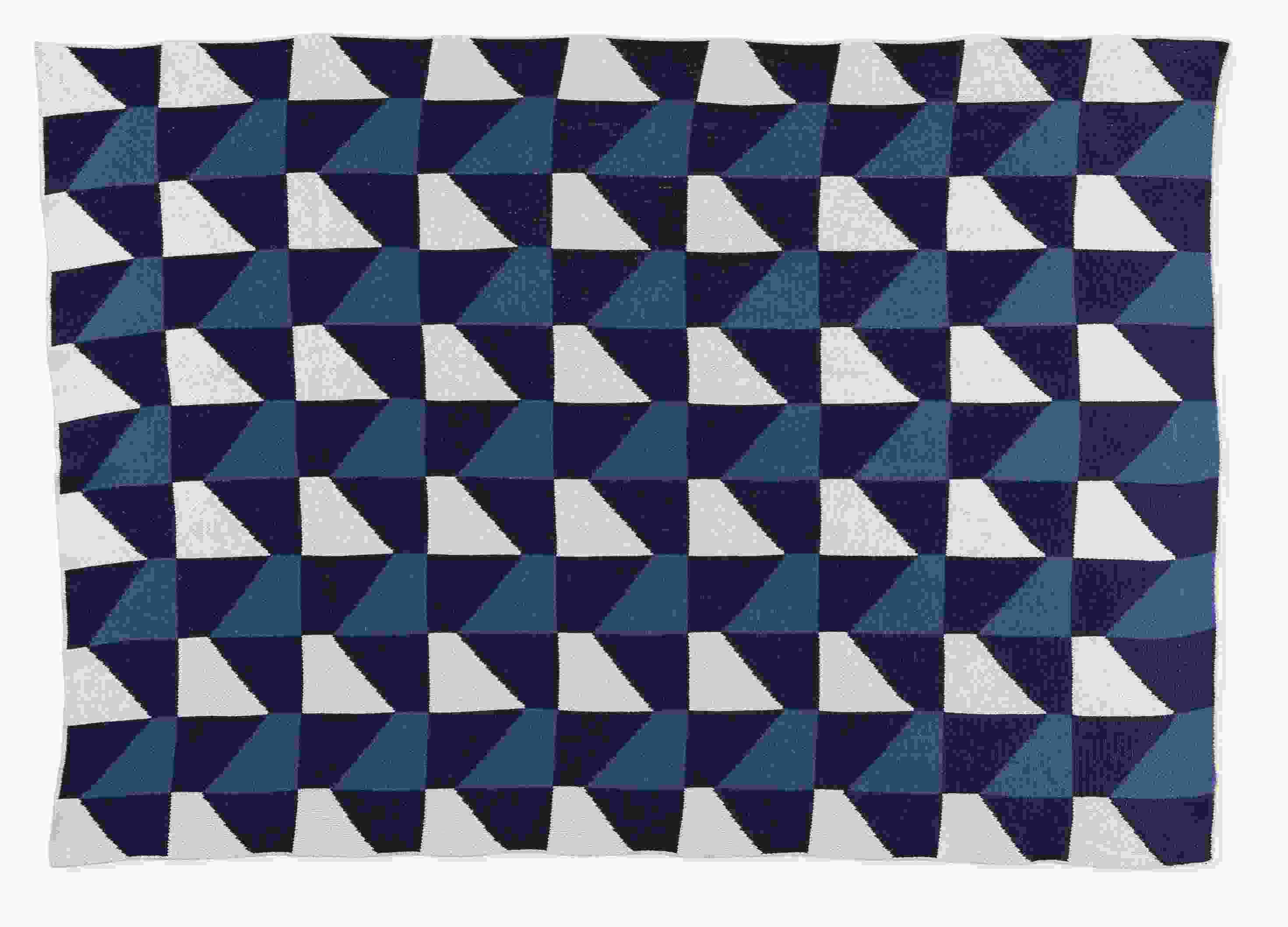 Kepler throw blanket in lake.