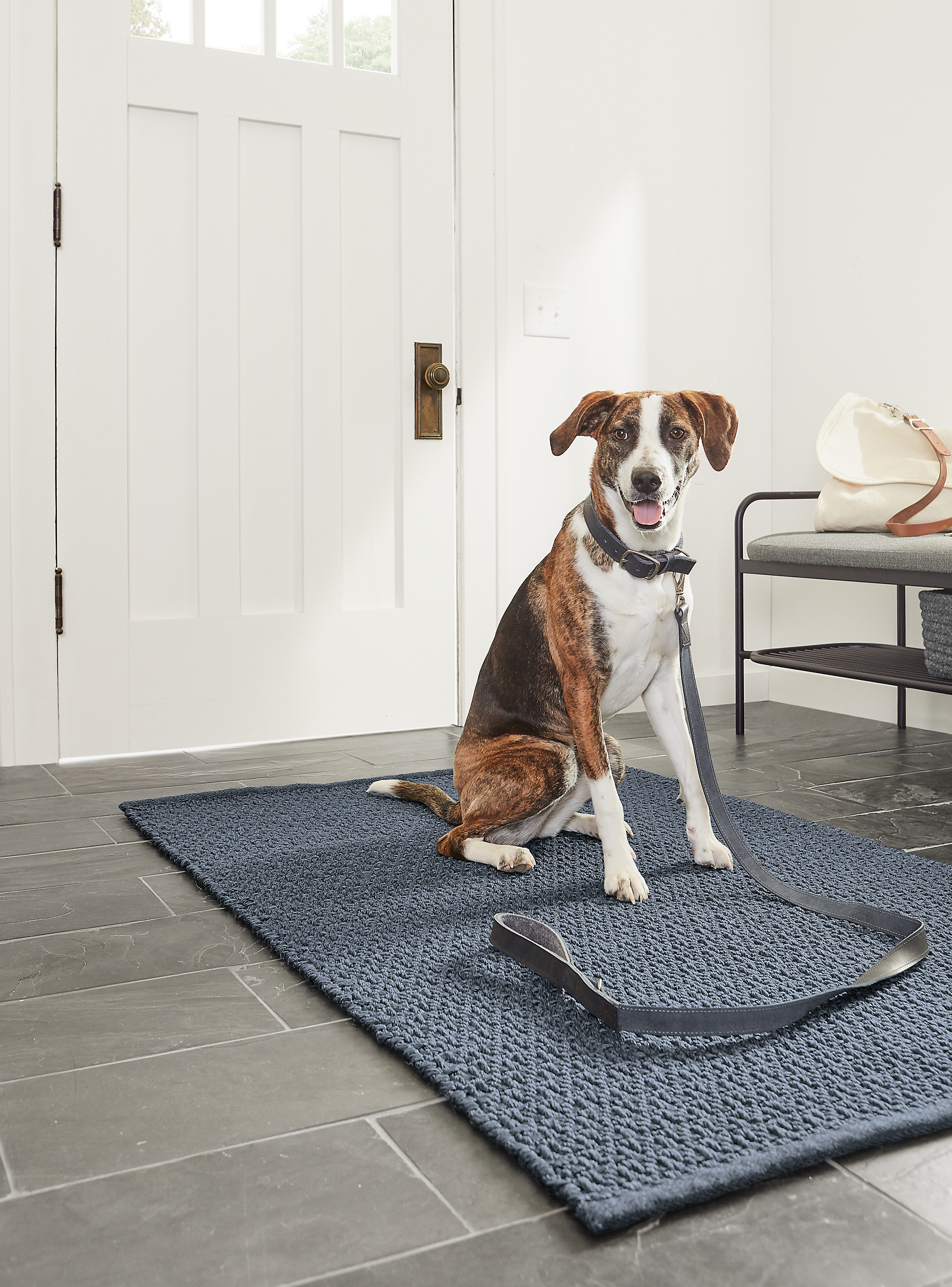Entryway with Miles leather leash in navy.