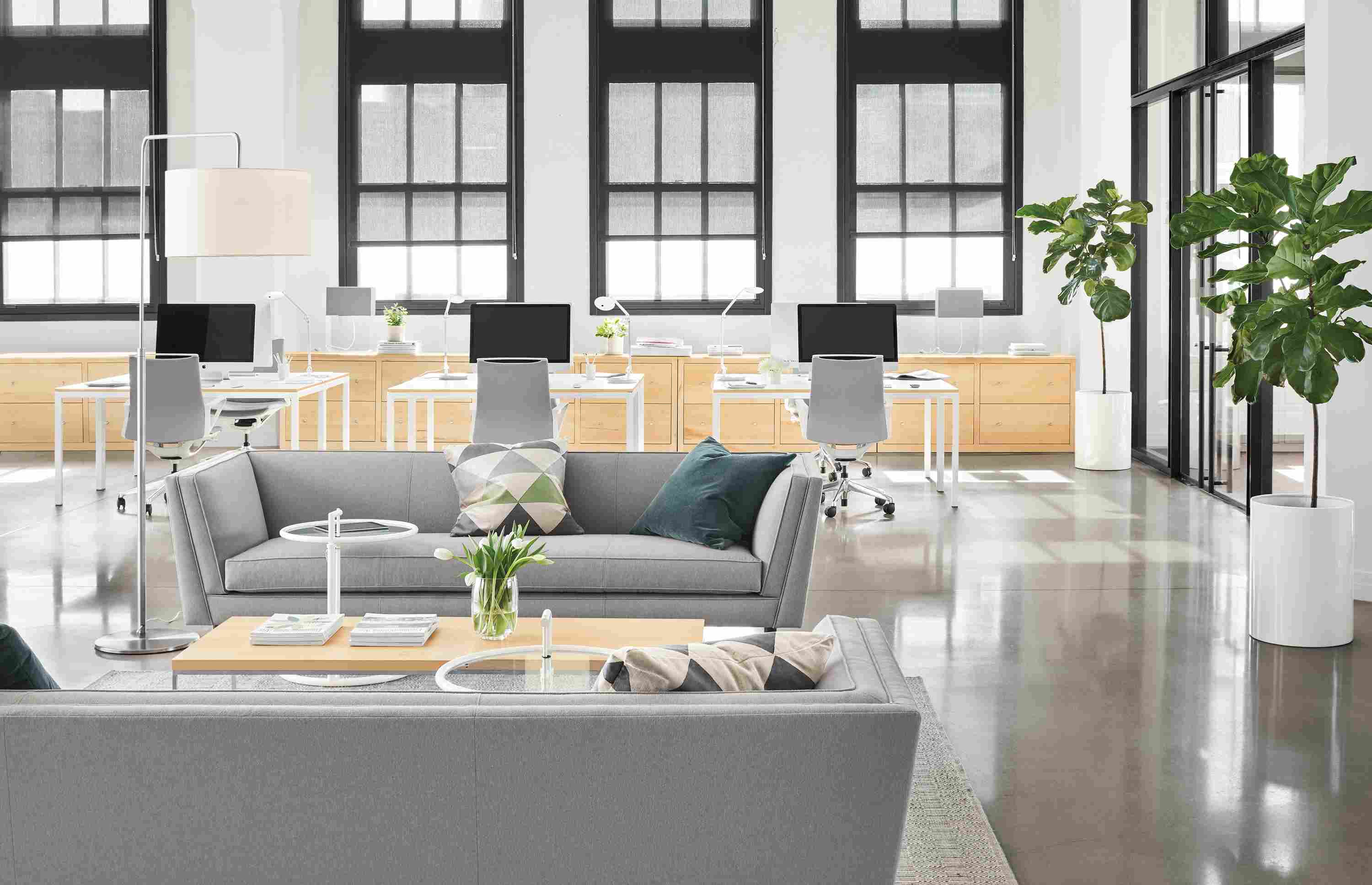 Detail of Naomi sofa in modern office.