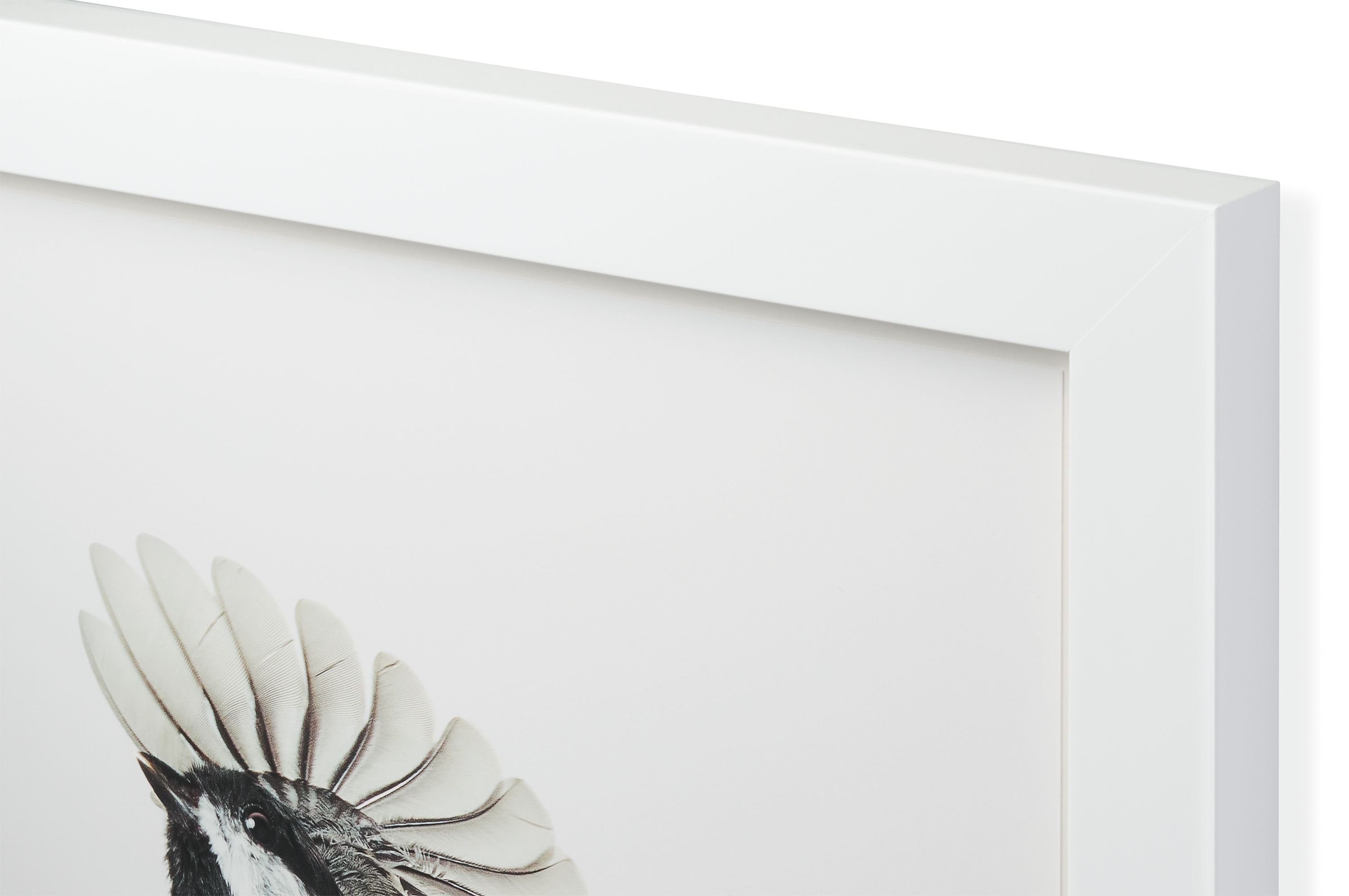 Corner detail of glossy white frame on wall art from Paul Nelson.